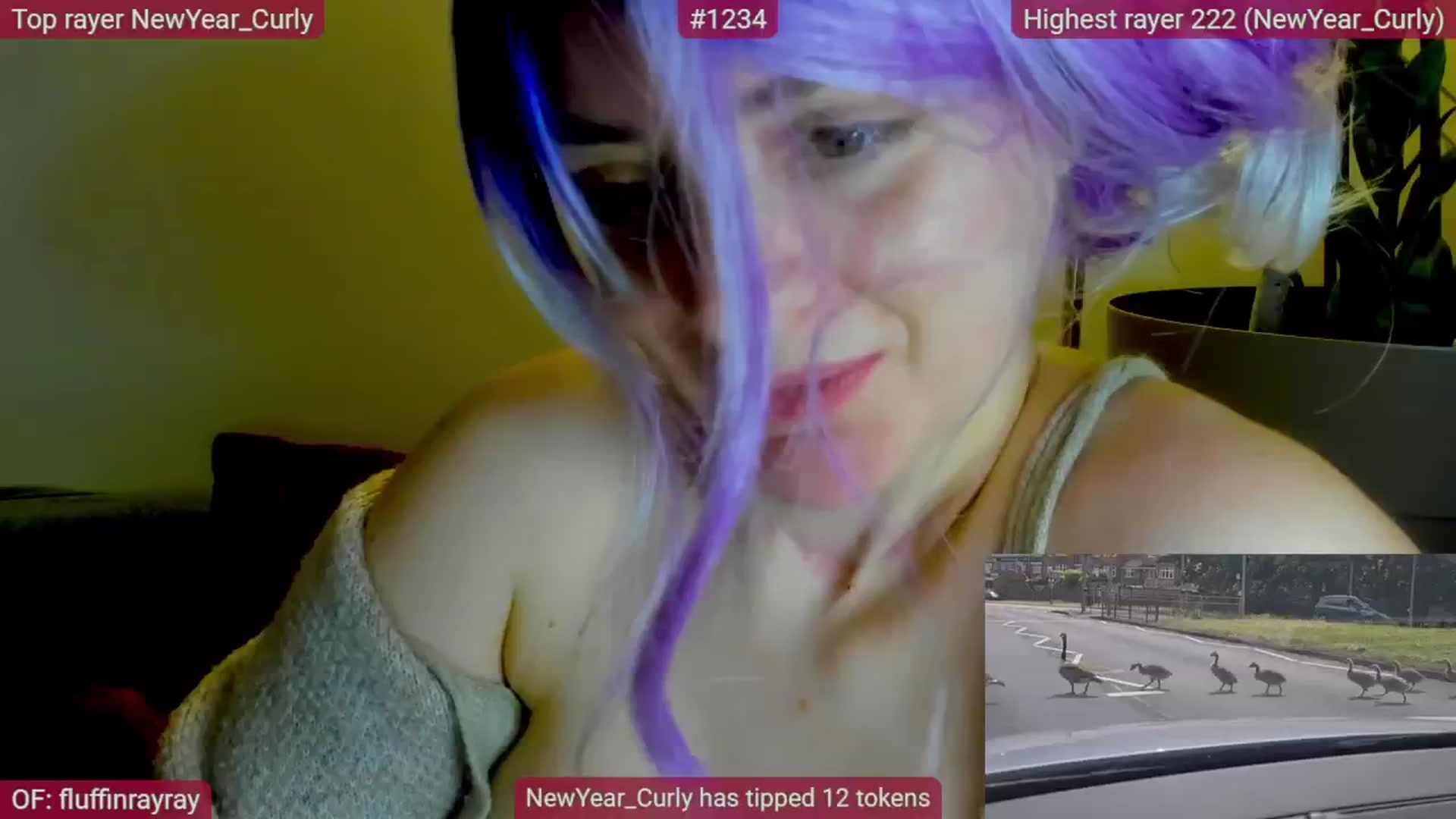 Gallery image thumbnail from FluffinRayRay's myfreecams stream on, 01/16/2026, 01:42 image 2 of 20