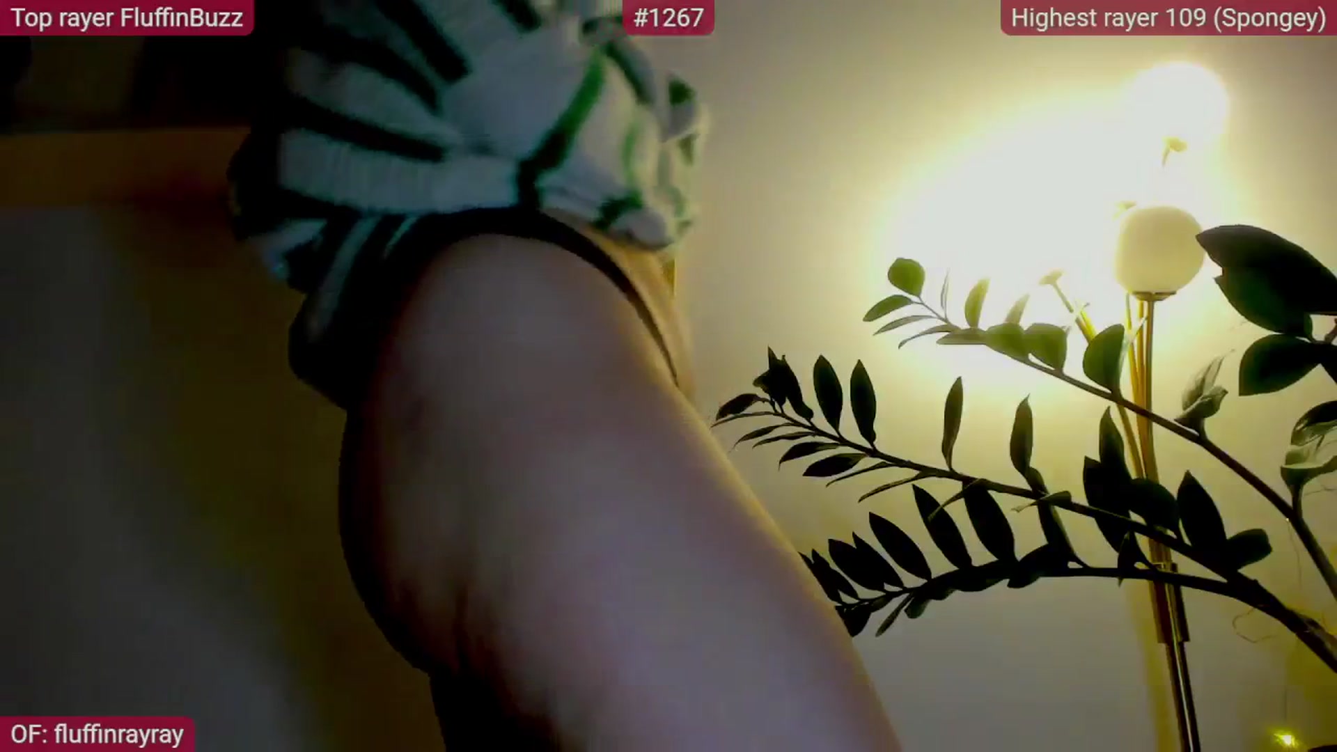Gallery image thumbnail from FluffinRayRay's myfreecams stream on, 02/05/2026, 02:00 image 16 of 20