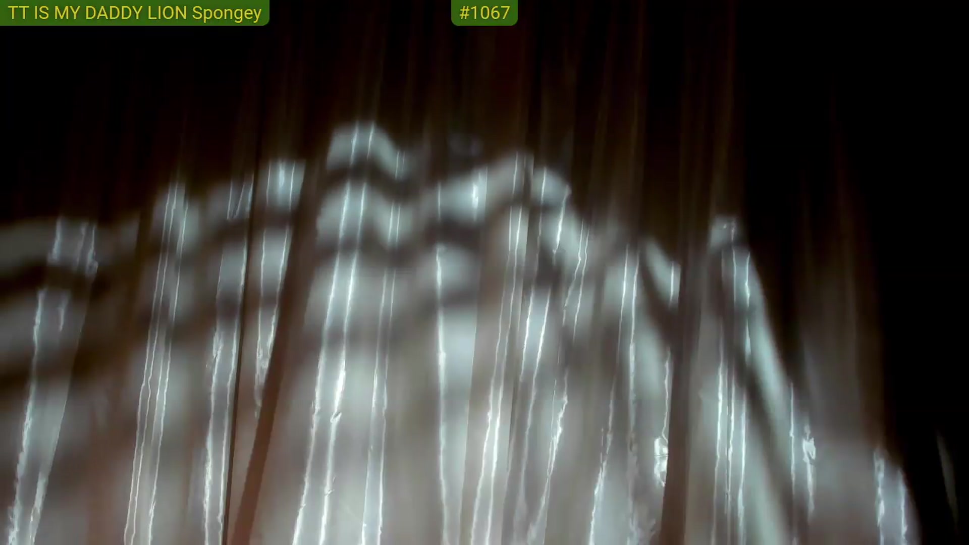 Gallery image thumbnail from FluffinRayRay's myfreecams stream on, 05/30/2026, 24:40 image 13 of 20