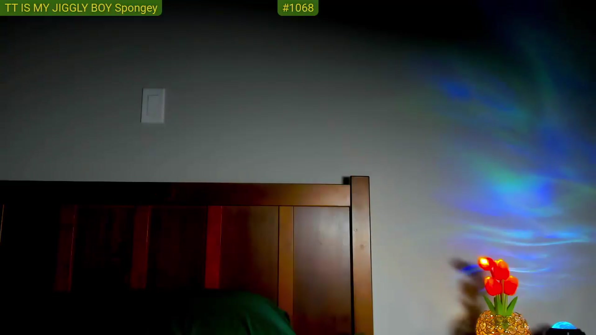 Gallery image thumbnail from FluffinRayRay's myfreecams stream on, 06/05/2026, 01:02 image 17 of 20