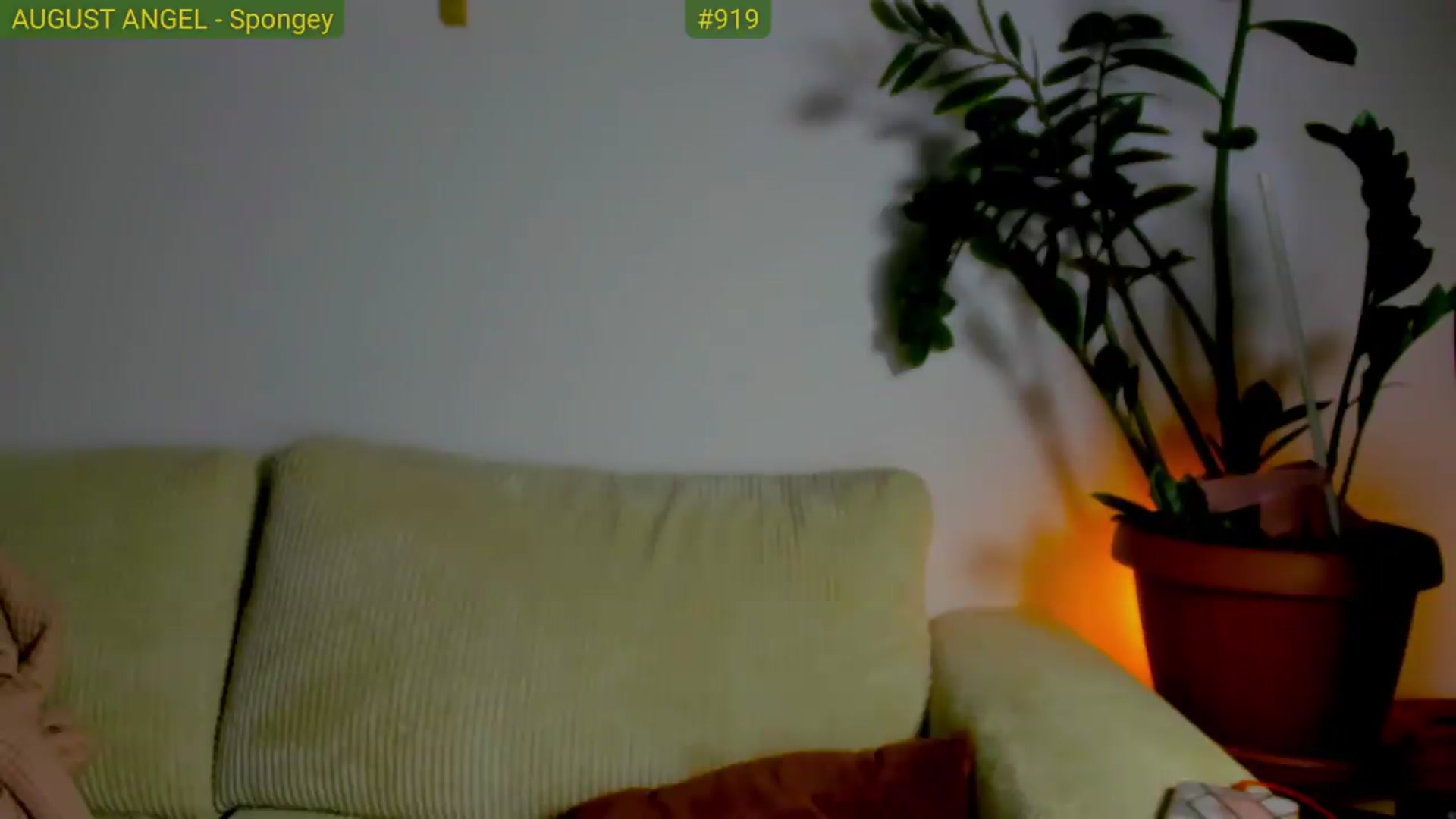 Gallery image thumbnail from FluffinRayRay's myfreecams stream on, 08/27/2026, 01:12 image 11 of 20