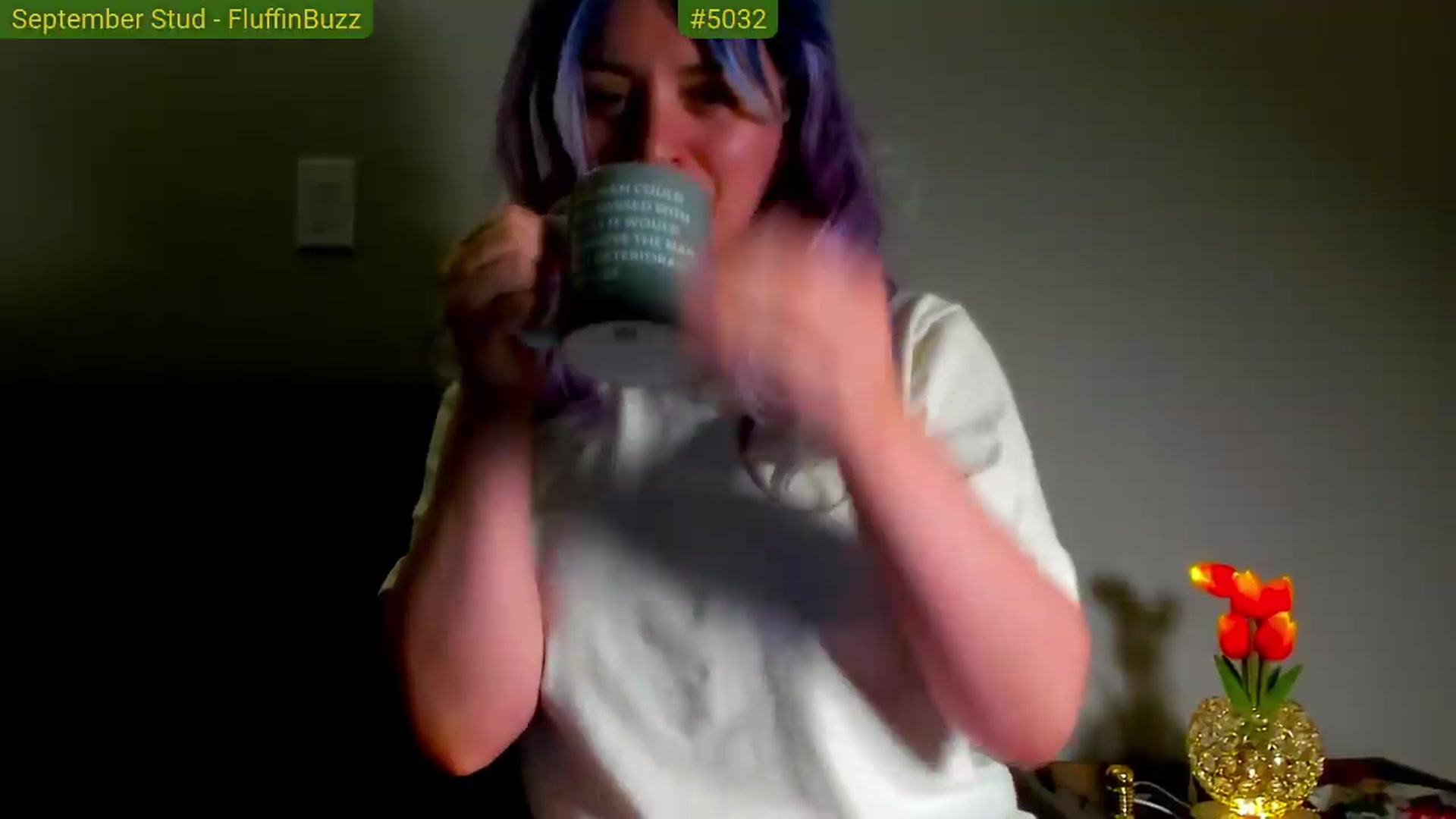 Gallery image thumbnail from FluffinRayRay's myfreecams stream on, 09/14/2026, 01:28 image 7 of 20