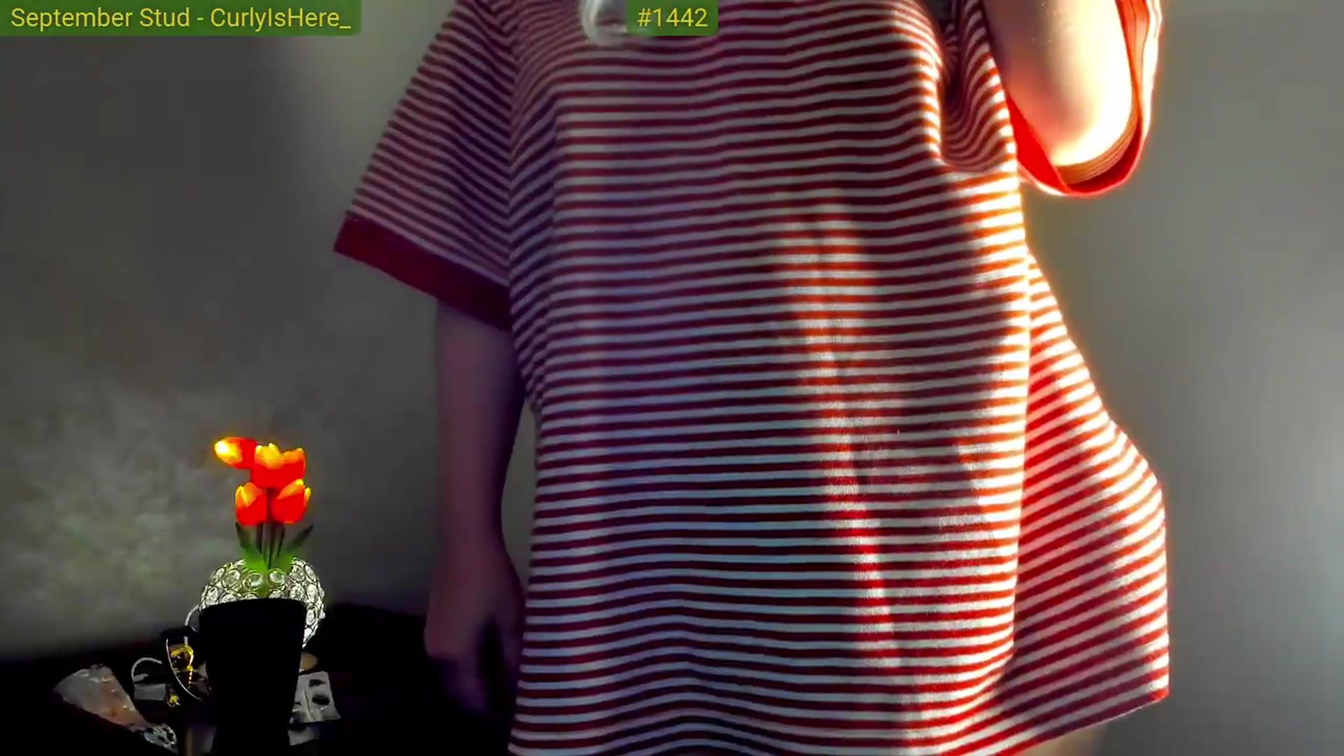 Gallery image thumbnail from FluffinRayRay's myfreecams stream on, 09/25/2026, 01:02 image 14 of 20