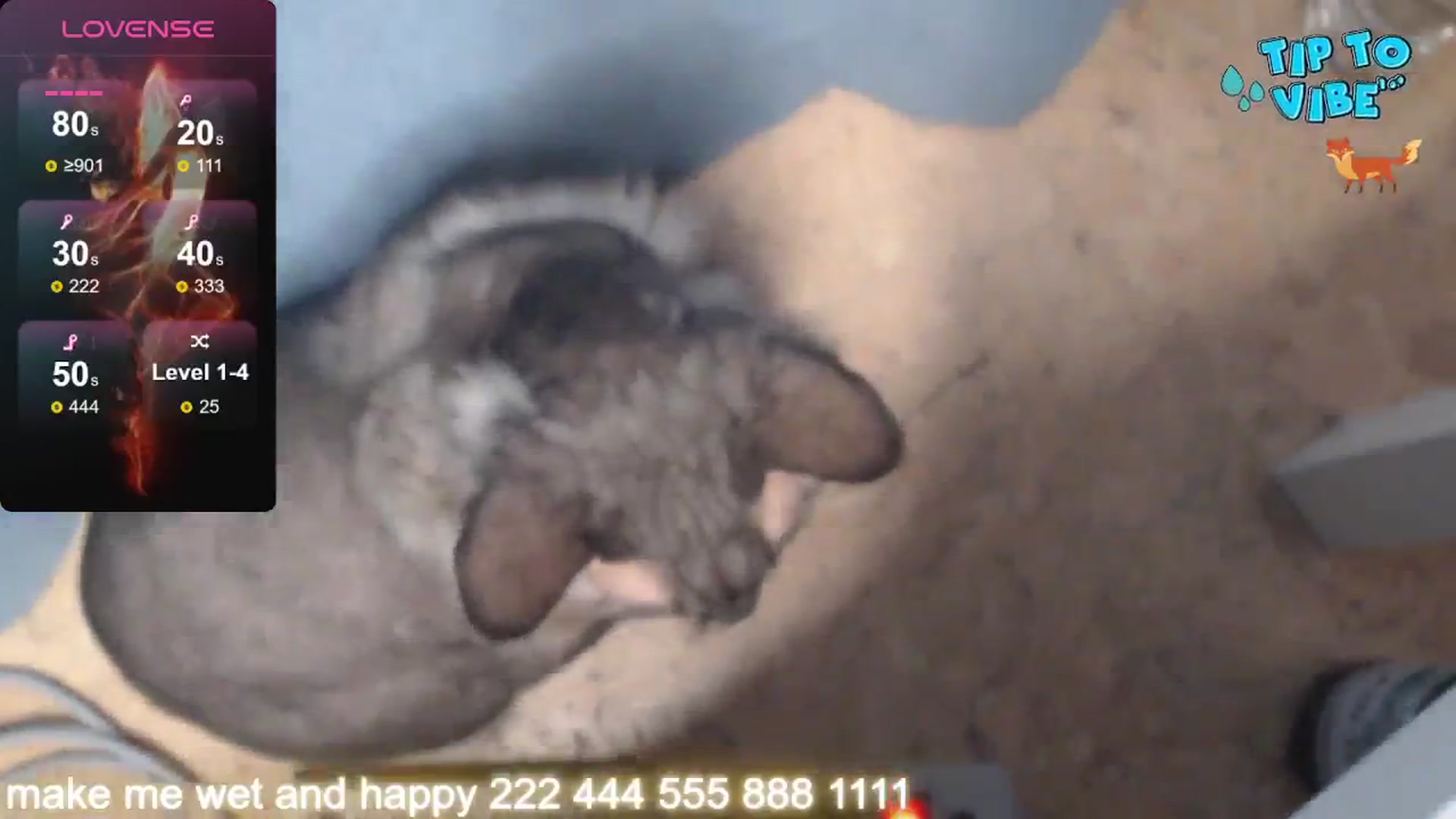 Gallery image thumbnail from FluffyTail's myfreecams stream on, 01/18/2026, 09:31 image 2 of 20