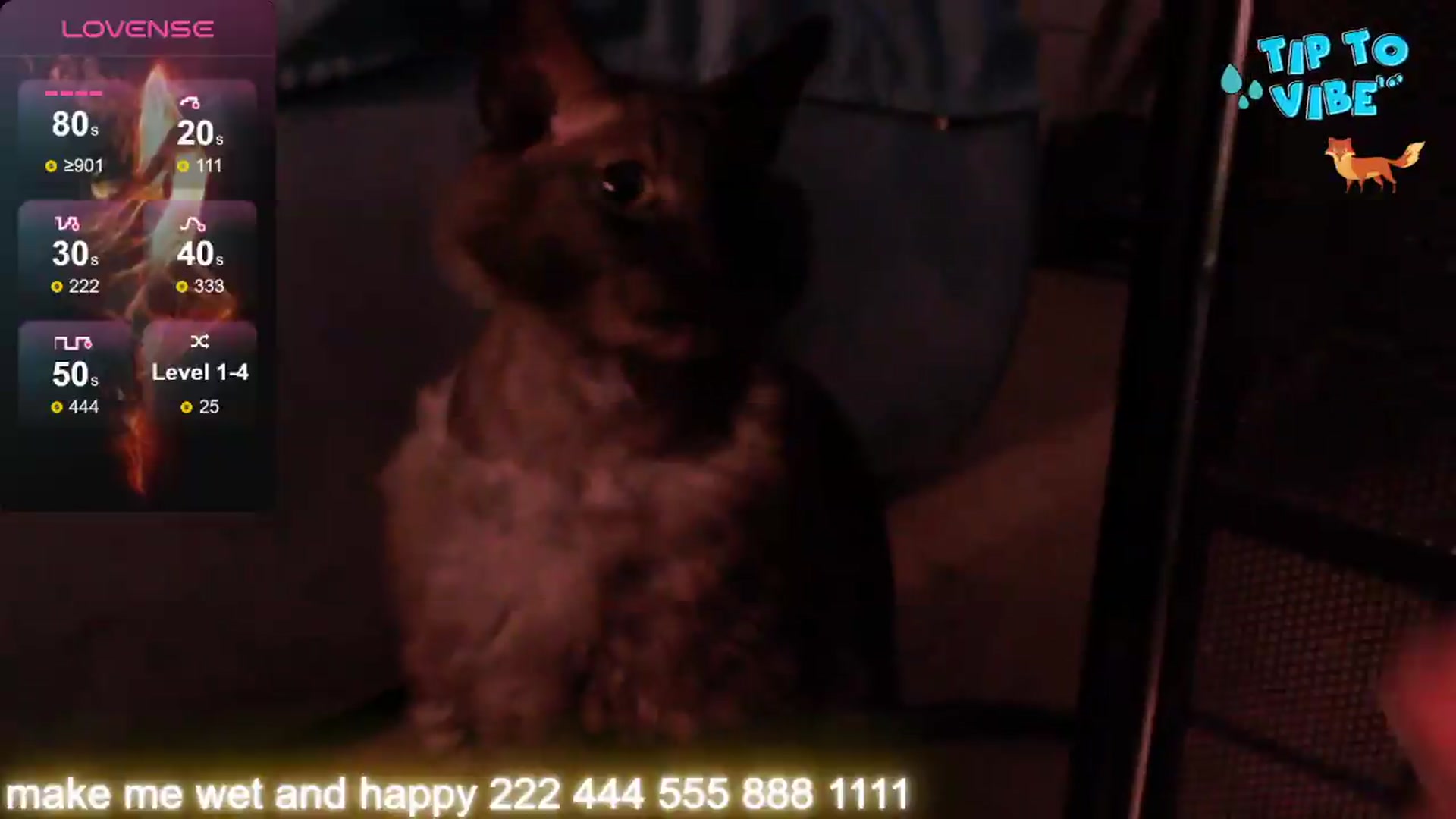 Gallery image thumbnail from FluffyTail's myfreecams stream on, 05/10/2026, 07:29 image 17 of 20