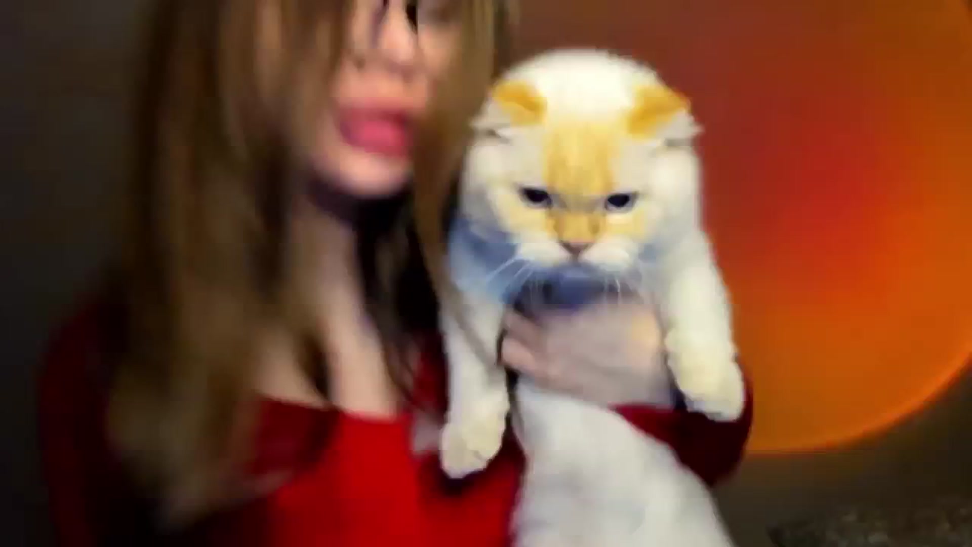 Gallery image thumbnail from FlyingDream's myfreecams stream on, 03/23/2026, 17:02 image 7 of 20
