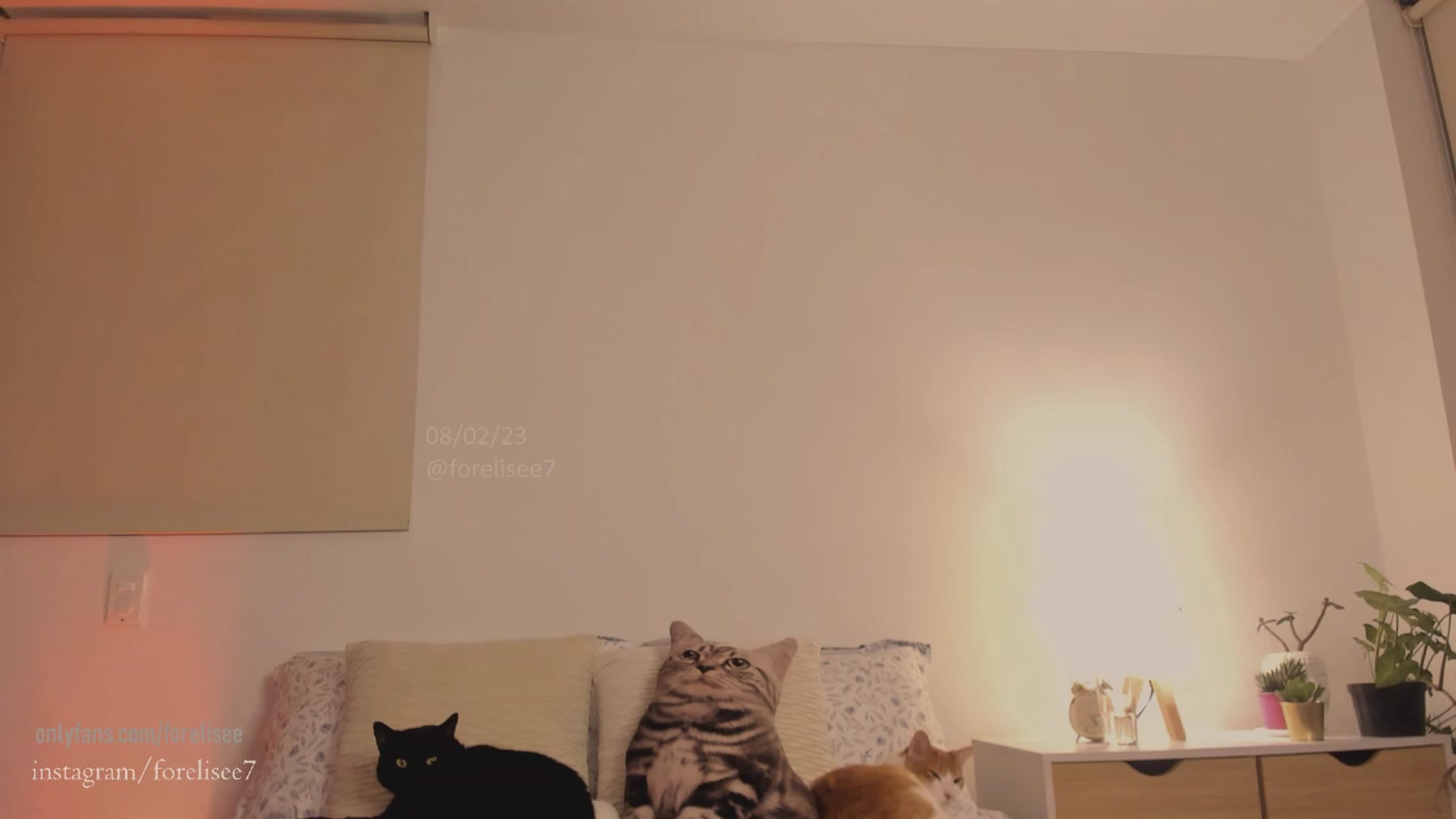 Gallery image thumbnail from ForElisee's myfreecams stream on, 02/08/2023, 08:39 image 16 of 20