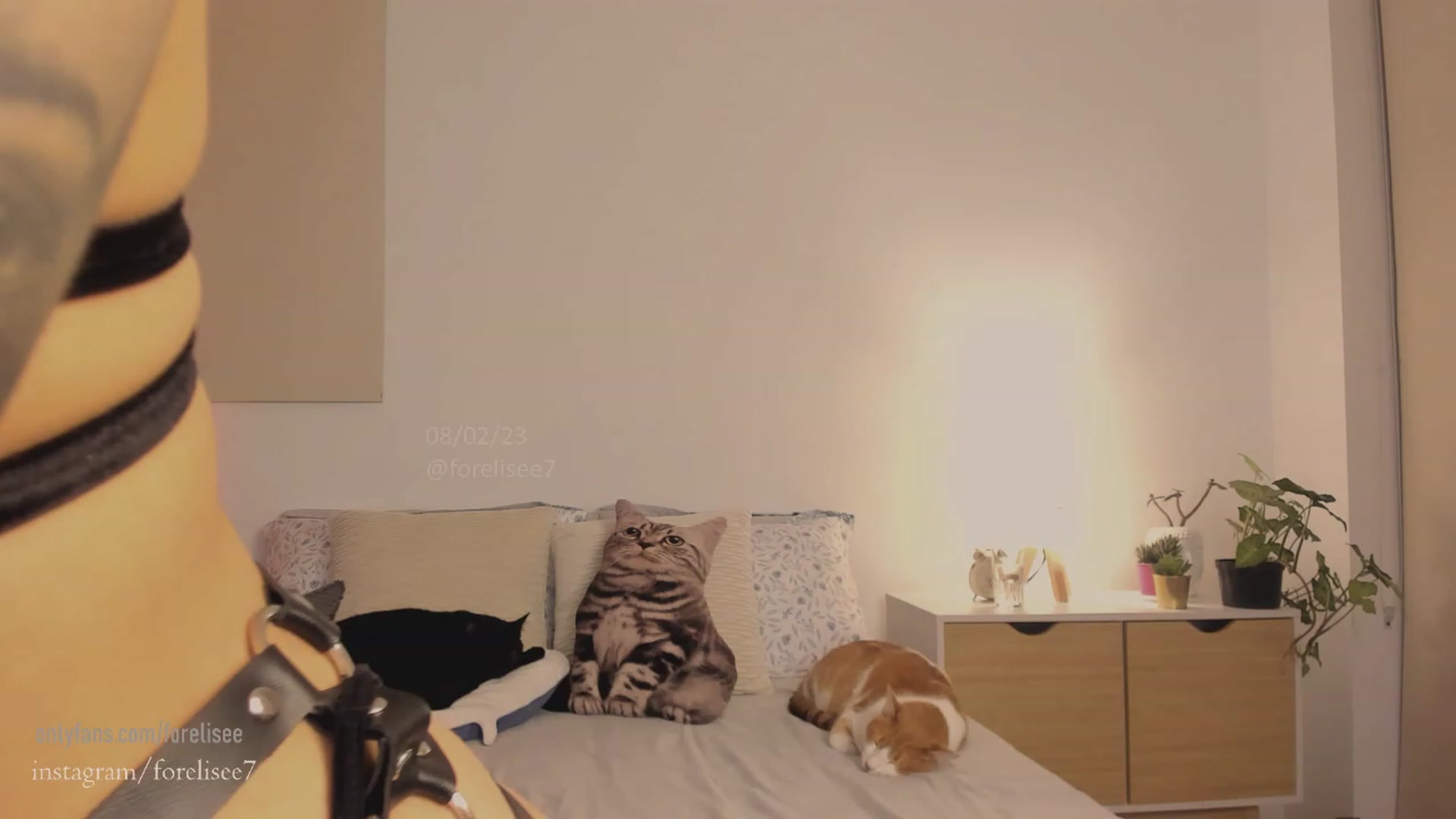 Gallery image thumbnail from ForElisee's myfreecams stream on, 02/08/2023, 08:39 image 5 of 20