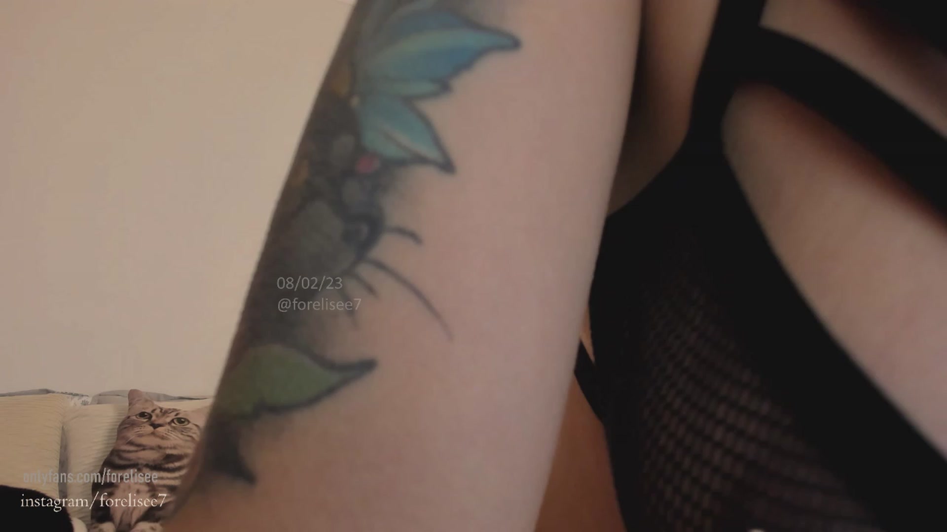Gallery image thumbnail from ForElisee's myfreecams stream on, 02/08/2023, 08:39 image 15 of 20