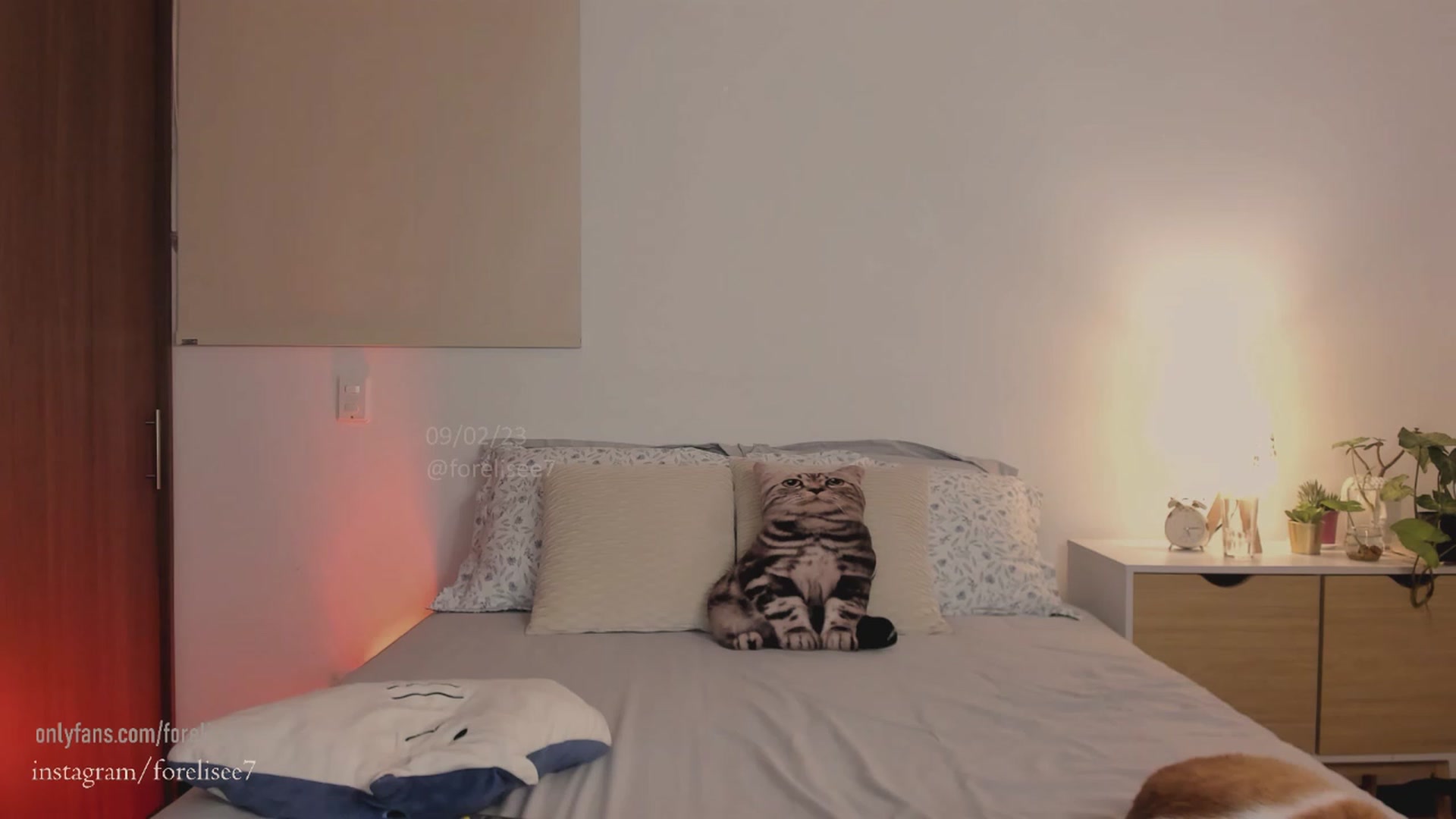 Gallery image thumbnail from ForElisee's myfreecams stream on, 02/09/2023, 09:25 image 19 of 20