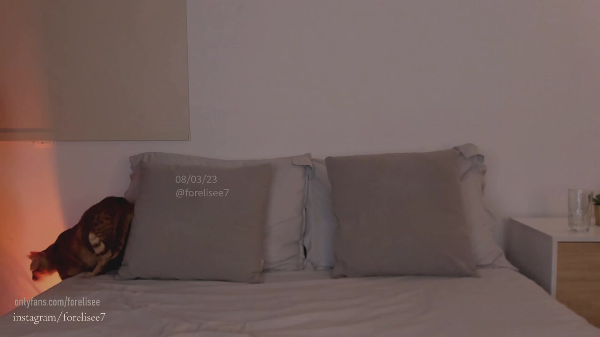 Gallery image thumbnail from ForElisee's myfreecams stream on, 03/09/2023, 08:01 image 9 of 20