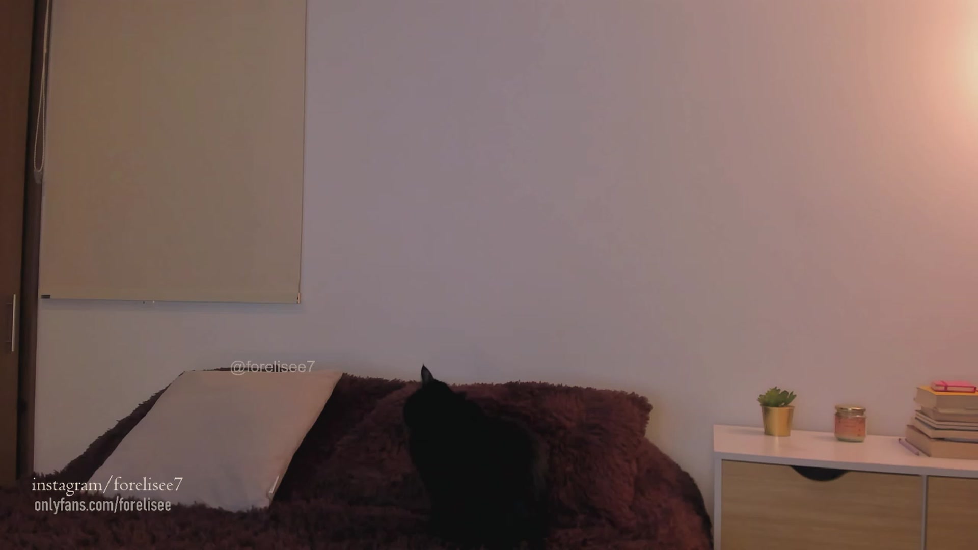 Gallery image thumbnail from ForElisee's myfreecams stream on, 09/04/2023, 10:34 image 18 of 20
