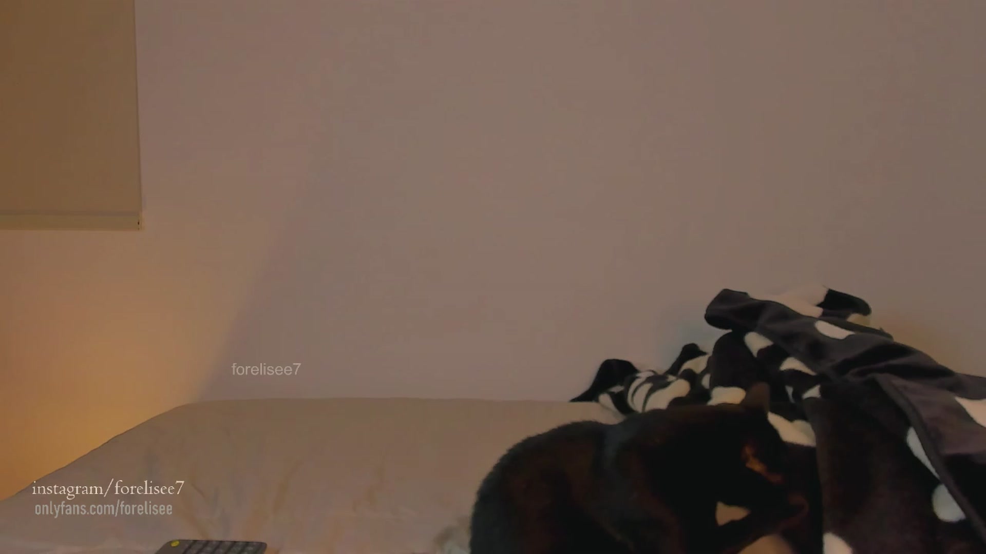 Gallery image thumbnail from ForElisee's myfreecams stream on, 11/11/2023, 09:51 image 17 of 20