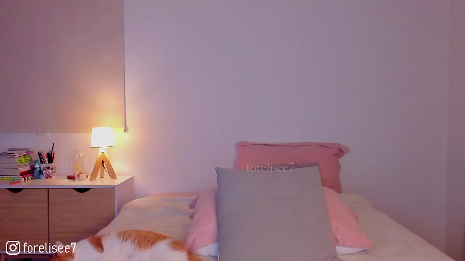 Gallery image thumbnail from ForElisee's myfreecams stream on, 05/26/2024, 10:45 image 19 of 20