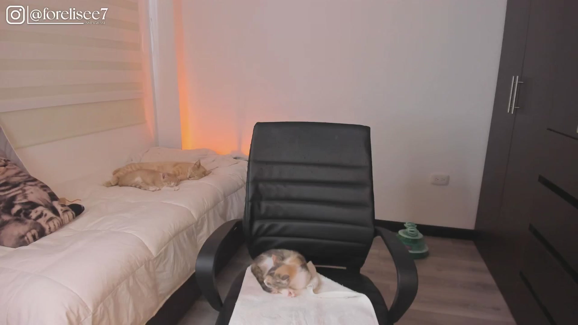 Gallery image thumbnail from ForElisee's myfreecams stream on, 09/07/2024, 23:23 image 6 of 20