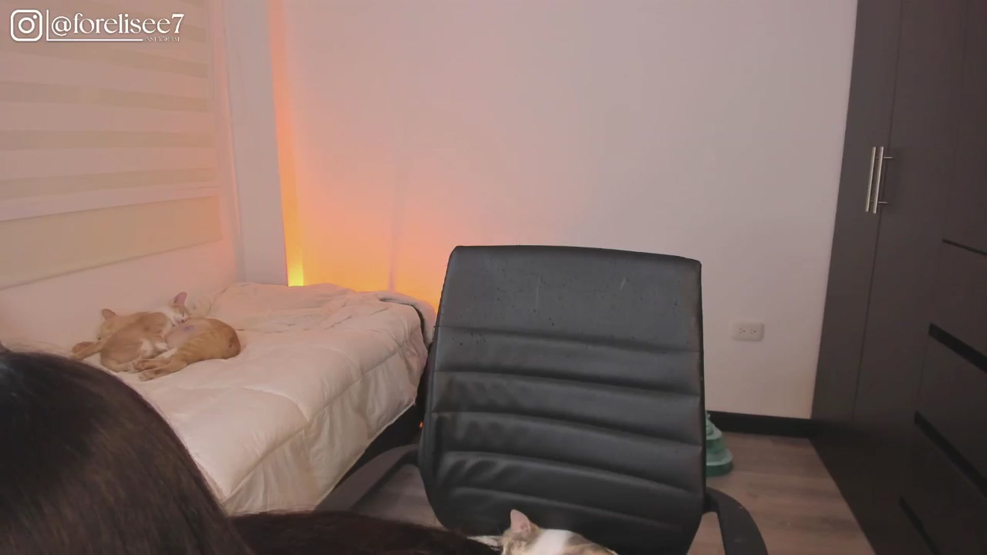 Gallery image thumbnail from ForElisee's myfreecams stream on, 09/07/2024, 23:23 image 18 of 20