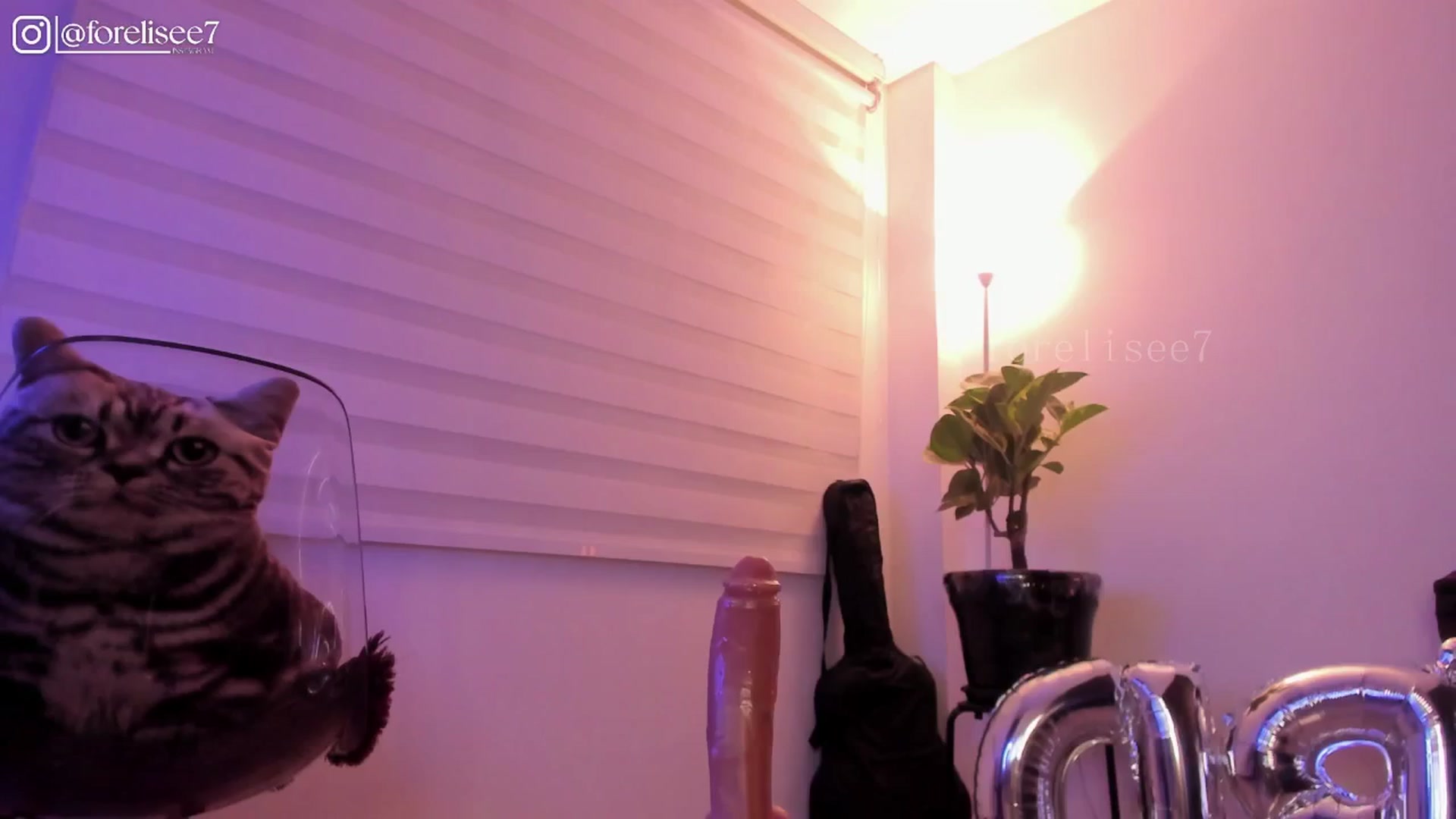Gallery image thumbnail from ForElisee's myfreecams stream on, 08/03/2025, 08:45 image 10 of 20