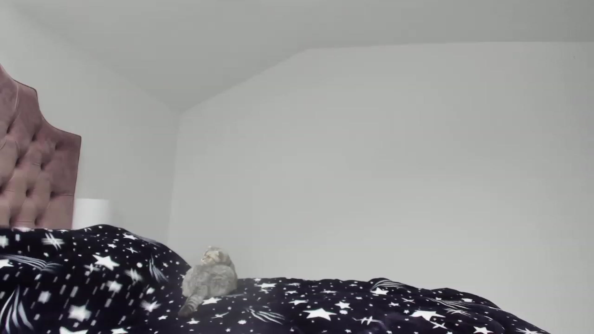 Gallery image thumbnail from Forbidn_Fruit's myfreecams stream on, 11/26/2022, 10:29 image 19 of 20