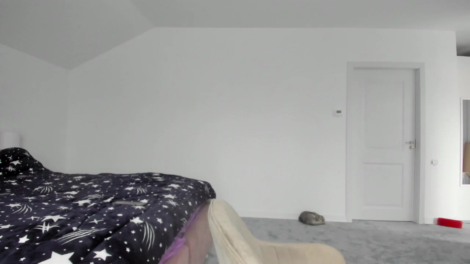 Gallery image thumbnail from Forbidn_Fruit's myfreecams stream on, 11/29/2022, 11:43 image 16 of 20