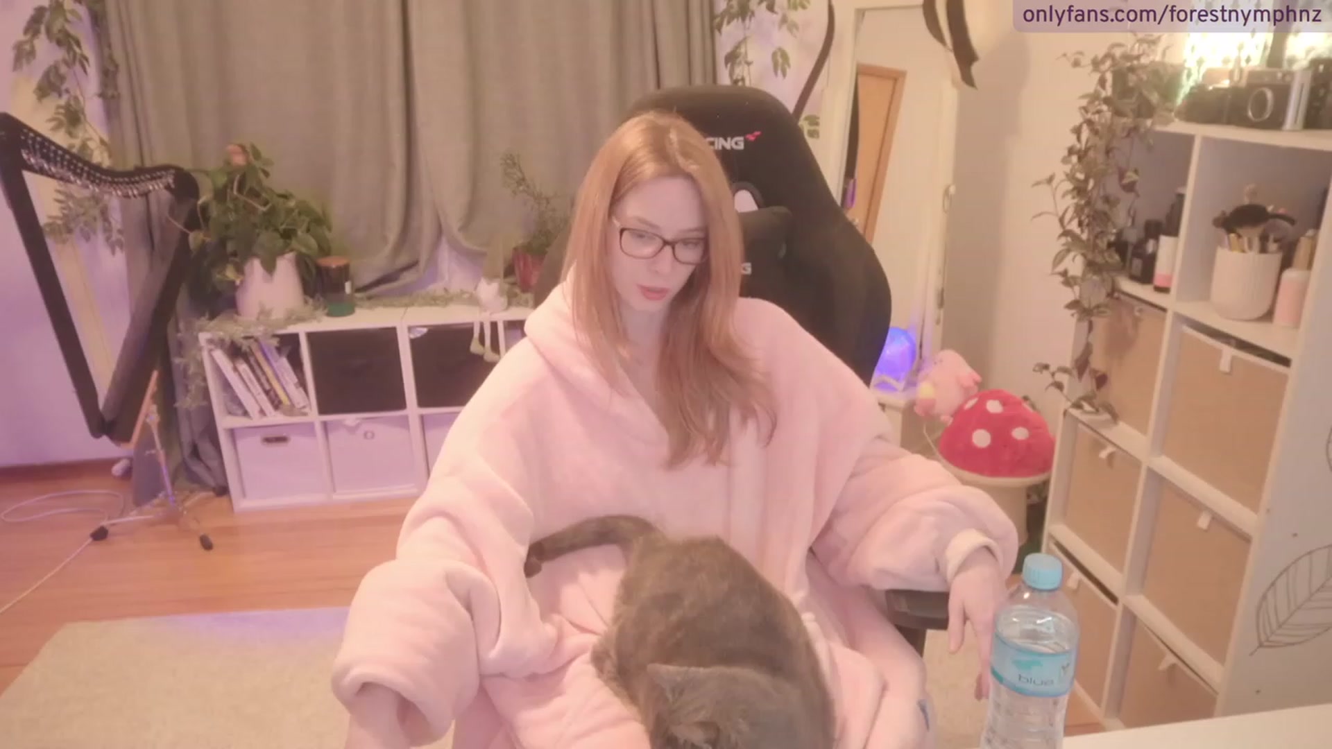 Gallery image thumbnail from Forest_nymph's myfreecams stream on, 08/29/2023, 07:10 image 7 of 20