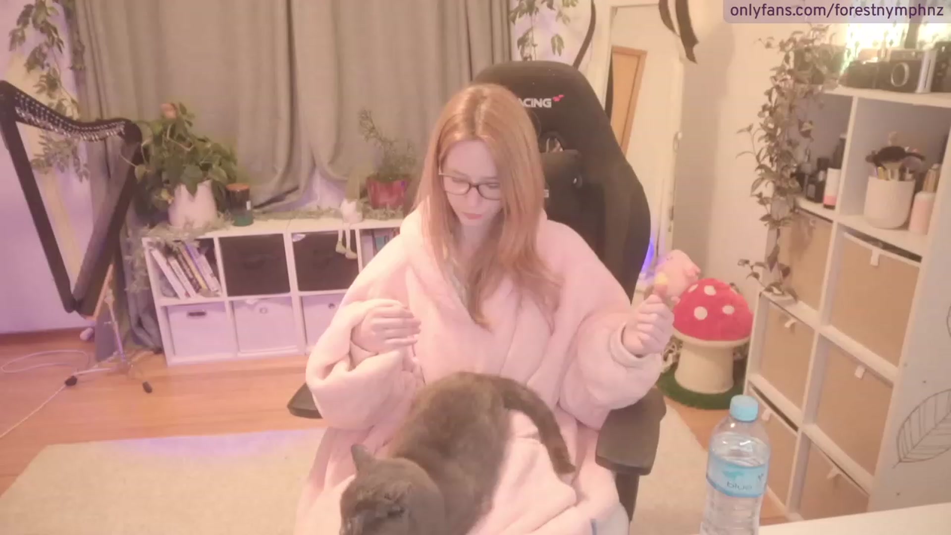 Gallery image thumbnail from Forest_nymph's myfreecams stream on, 08/29/2023, 07:10 image 17 of 20