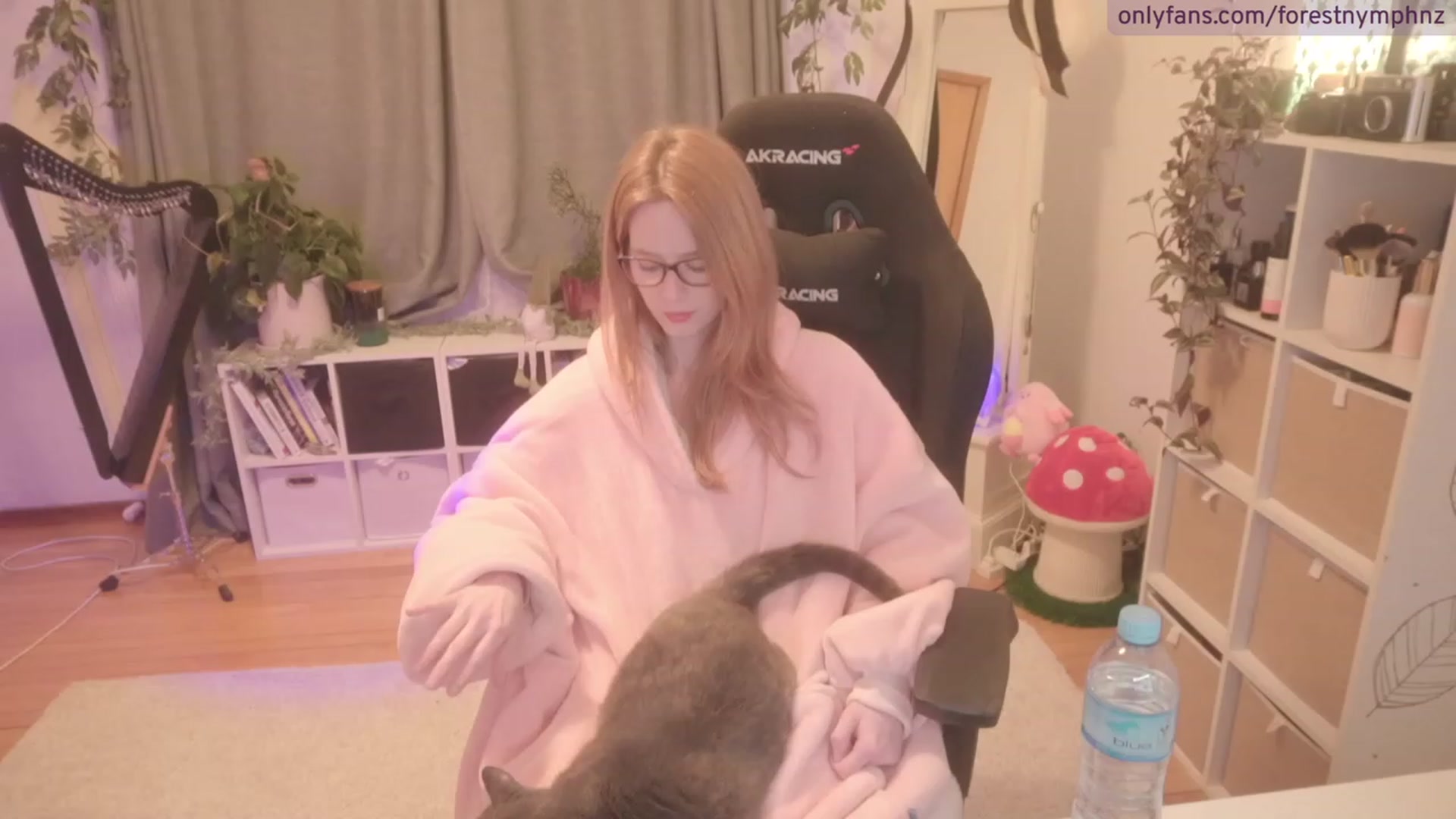 Gallery image thumbnail from Forest_nymph's myfreecams stream on, 08/29/2023, 07:10 image 16 of 20