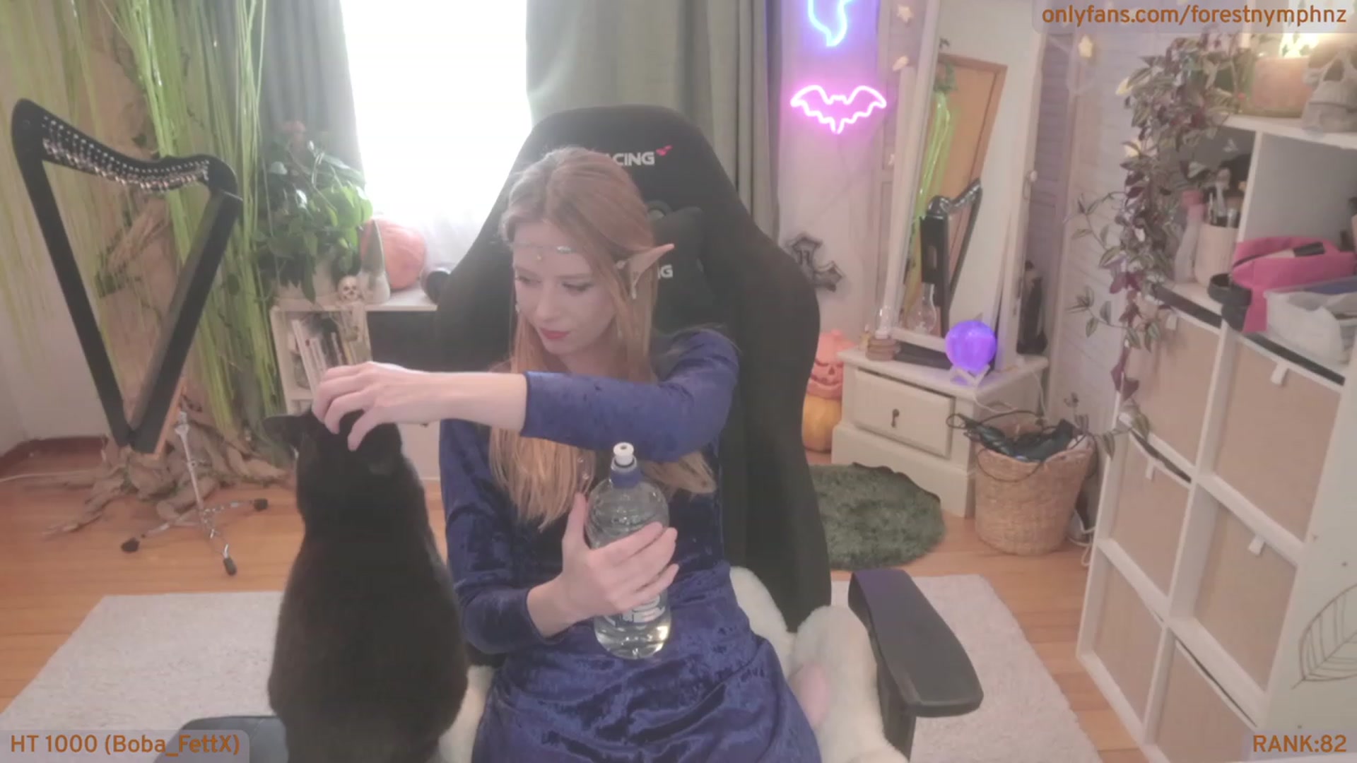 Gallery image thumbnail from Forest_nymph's myfreecams stream on, 10/05/2023, 04:09 image 9 of 20