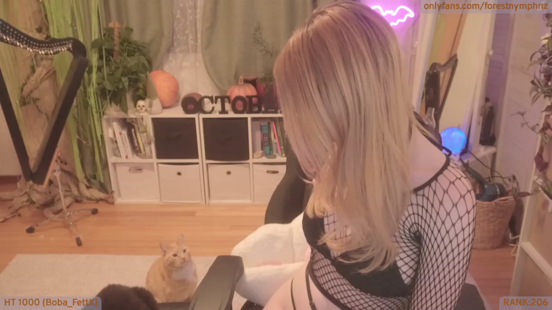 Gallery image thumbnail from Forest_nymph's myfreecams stream on, 10/08/2023, 08:27 image 12 of 20