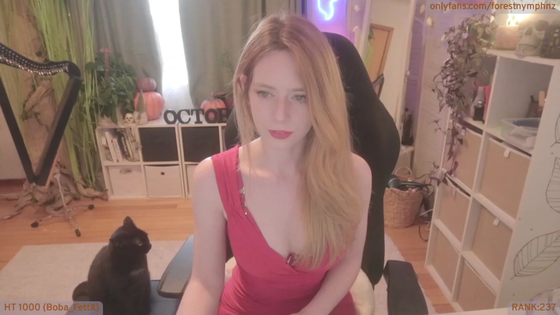 Gallery image thumbnail from Forest_nymph's myfreecams stream on, 10/10/2023, 03:35 image 10 of 20