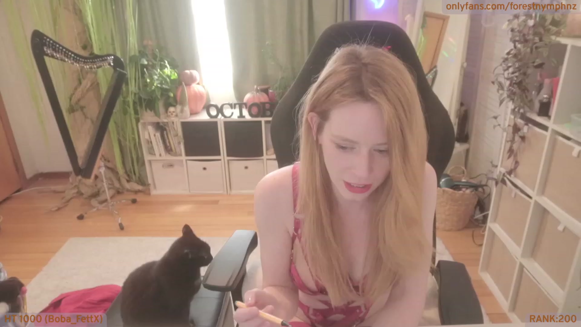 Gallery image thumbnail from Forest_nymph's myfreecams stream on, 10/10/2023, 05:10 image 12 of 20