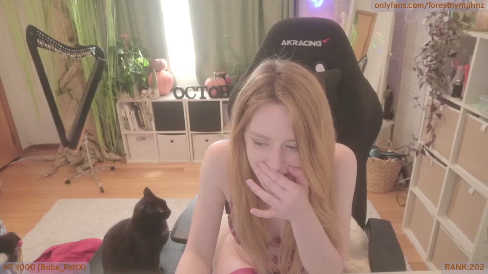 Gallery image thumbnail from Forest_nymph's myfreecams stream on, 10/10/2023, 05:10 image 11 of 20