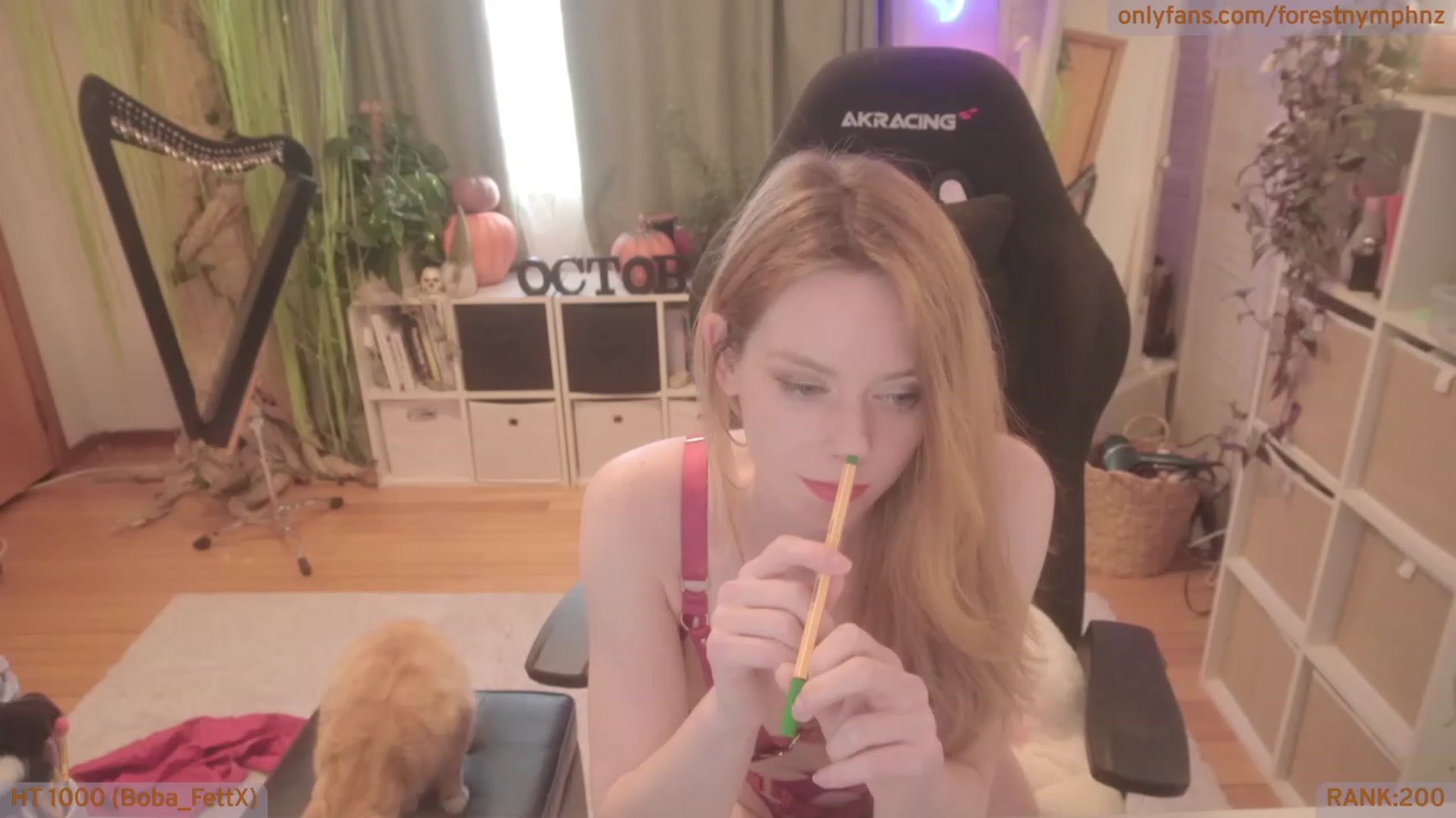 Gallery image thumbnail from Forest_nymph's myfreecams stream on, 10/10/2023, 06:32 image 1 of 20
