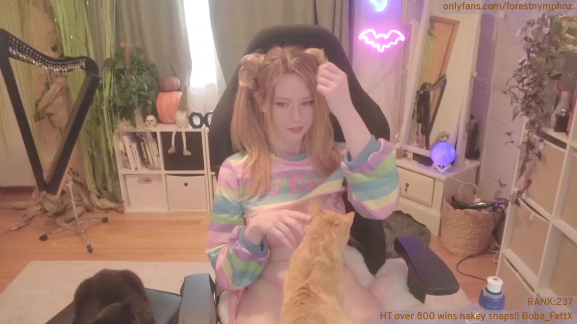 Gallery image thumbnail from Forest_nymph's myfreecams stream on, 10/12/2023, 06:06 image 1 of 20