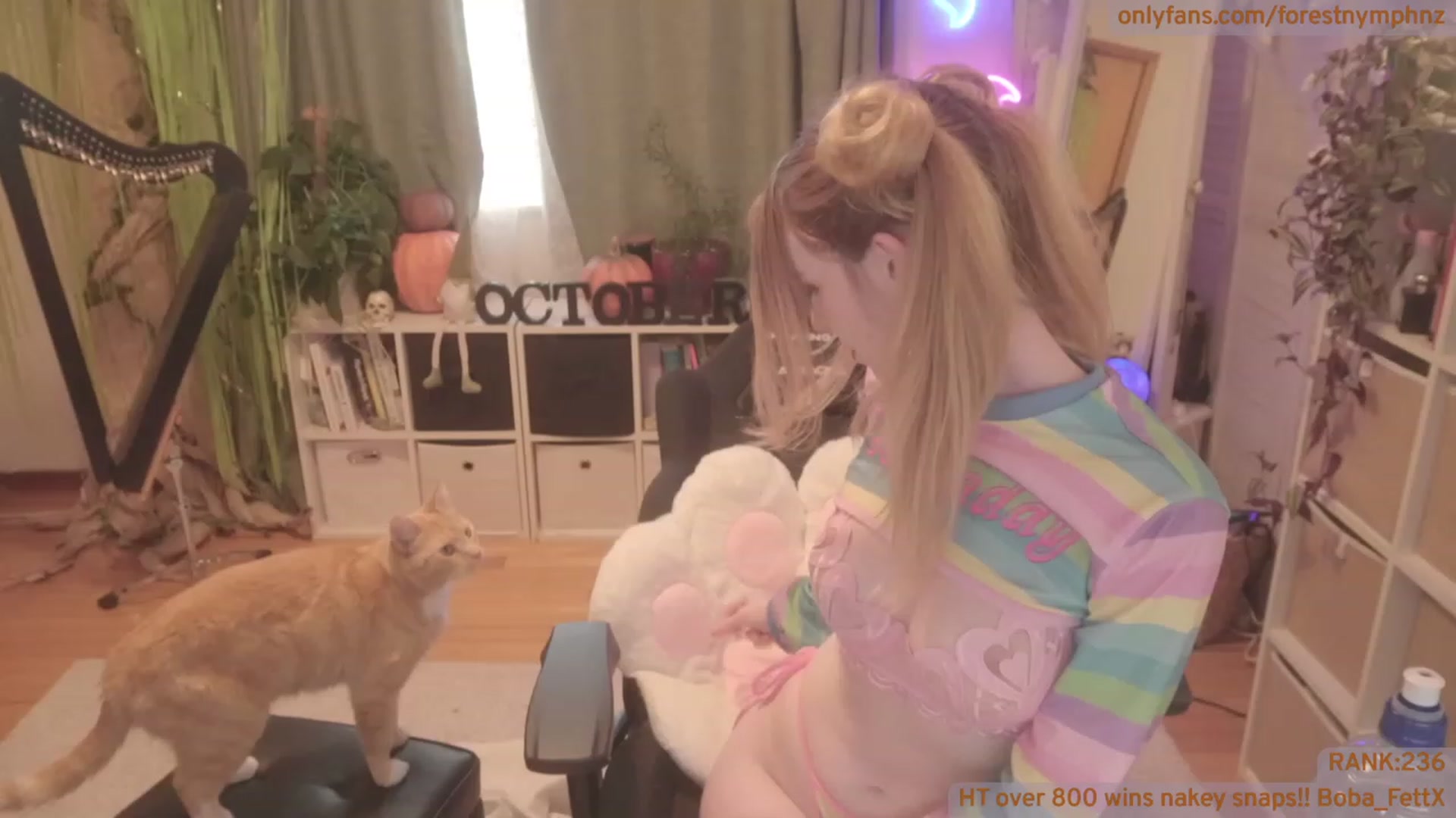 Gallery image thumbnail from Forest_nymph's myfreecams stream on, 10/12/2023, 06:06 image 17 of 20