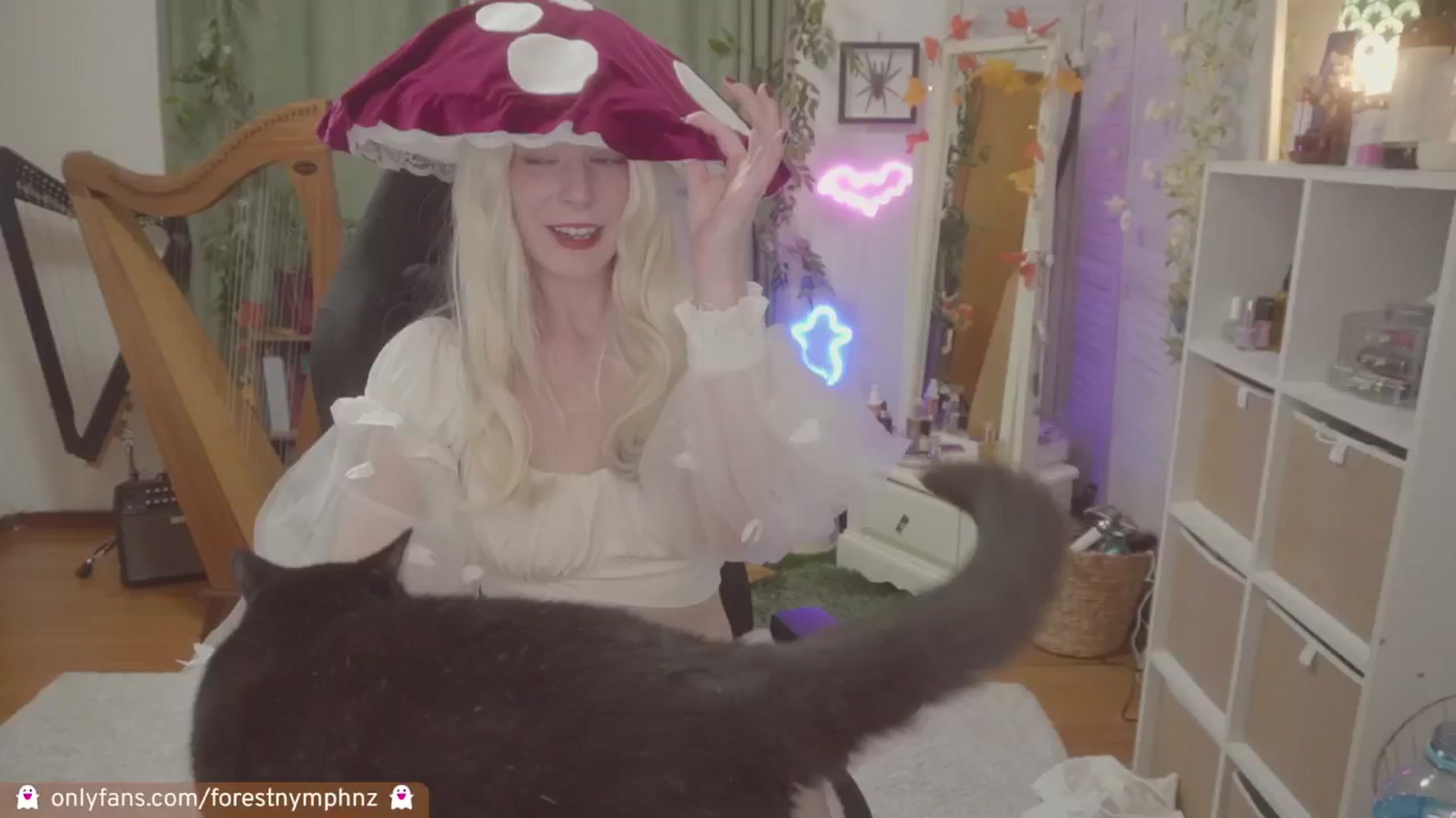 Gallery image thumbnail from Forest_nymph's myfreecams stream on, 10/28/2024, 06:21 image 19 of 20