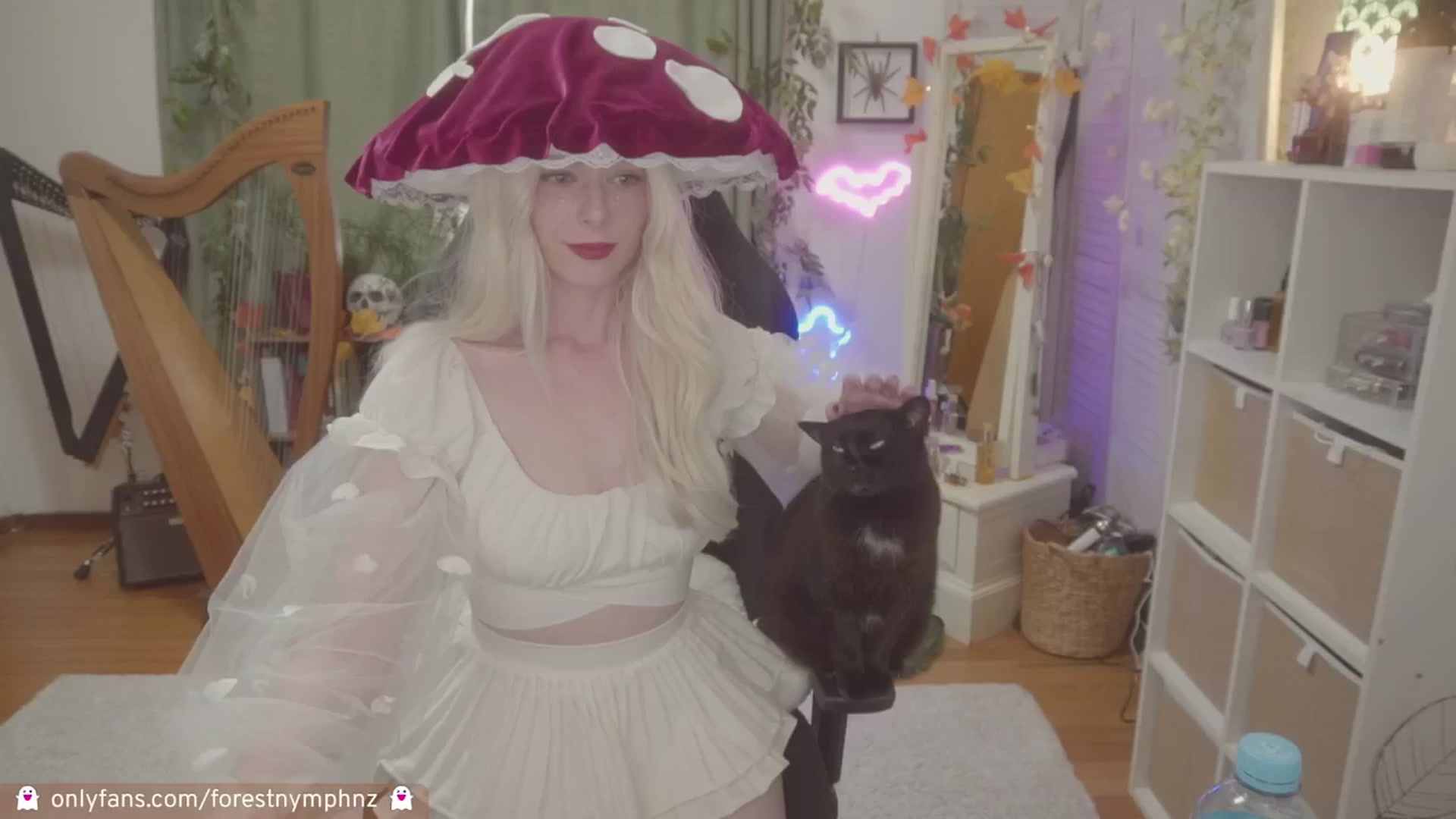 Gallery image thumbnail from Forest_nymph's myfreecams stream on, 10/28/2024, 06:21 image 7 of 20