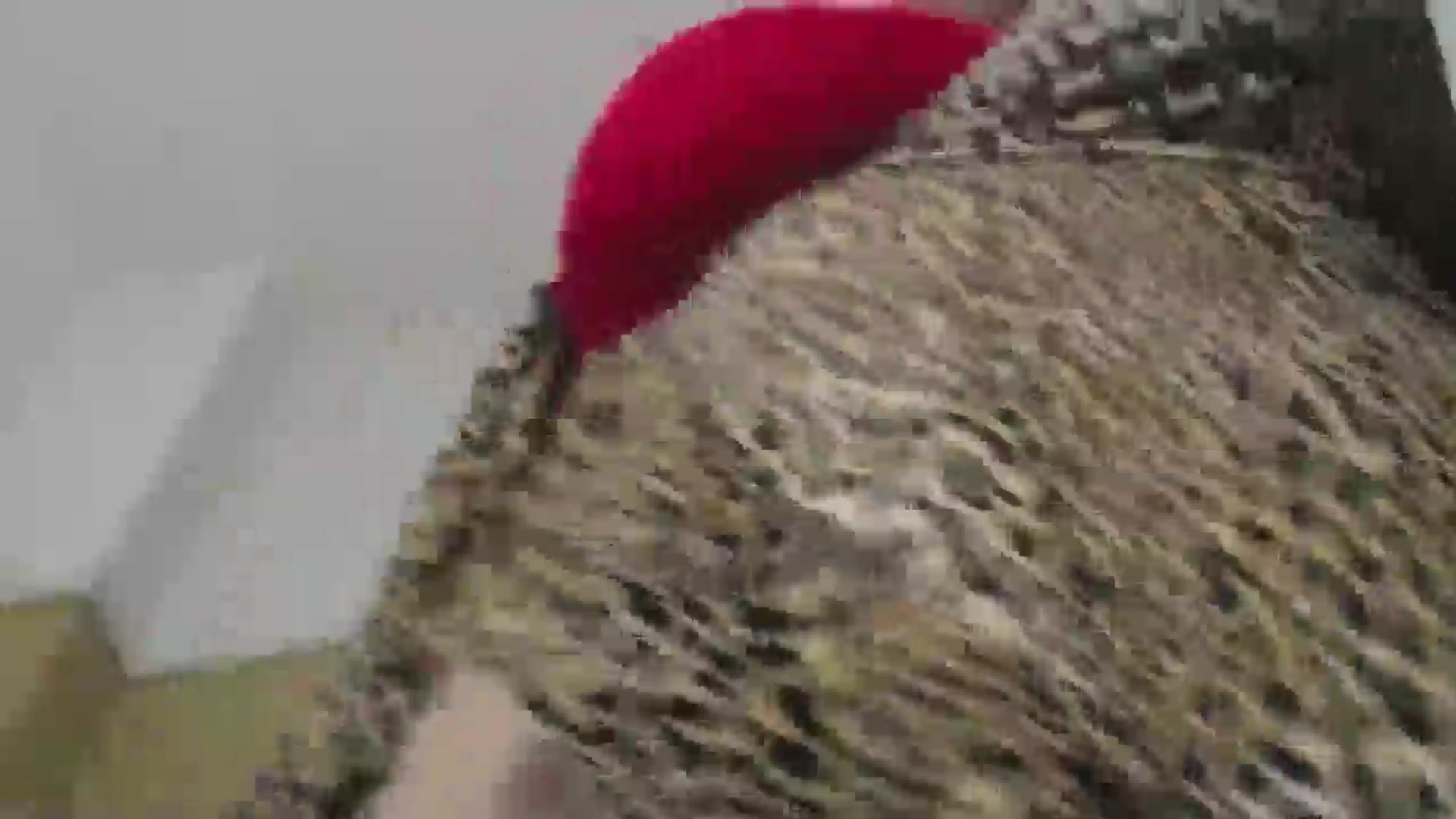 Gallery image thumbnail from ForeverChic's myfreecams stream on, 02/21/2025, 12:10 image 11 of 20