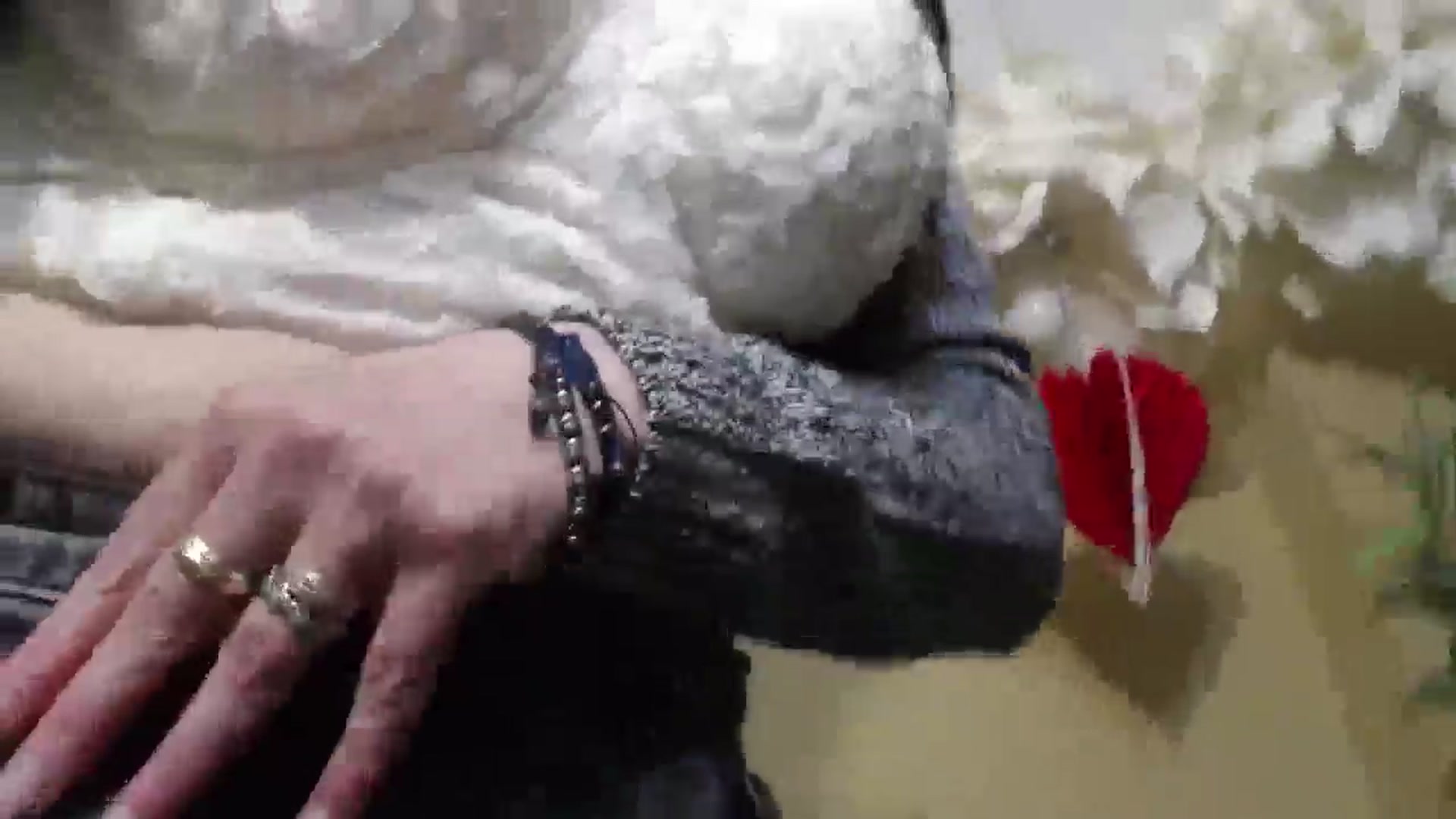 Gallery image thumbnail from ForeverChic's myfreecams stream on, 02/27/2025, 15:10 image 9 of 20