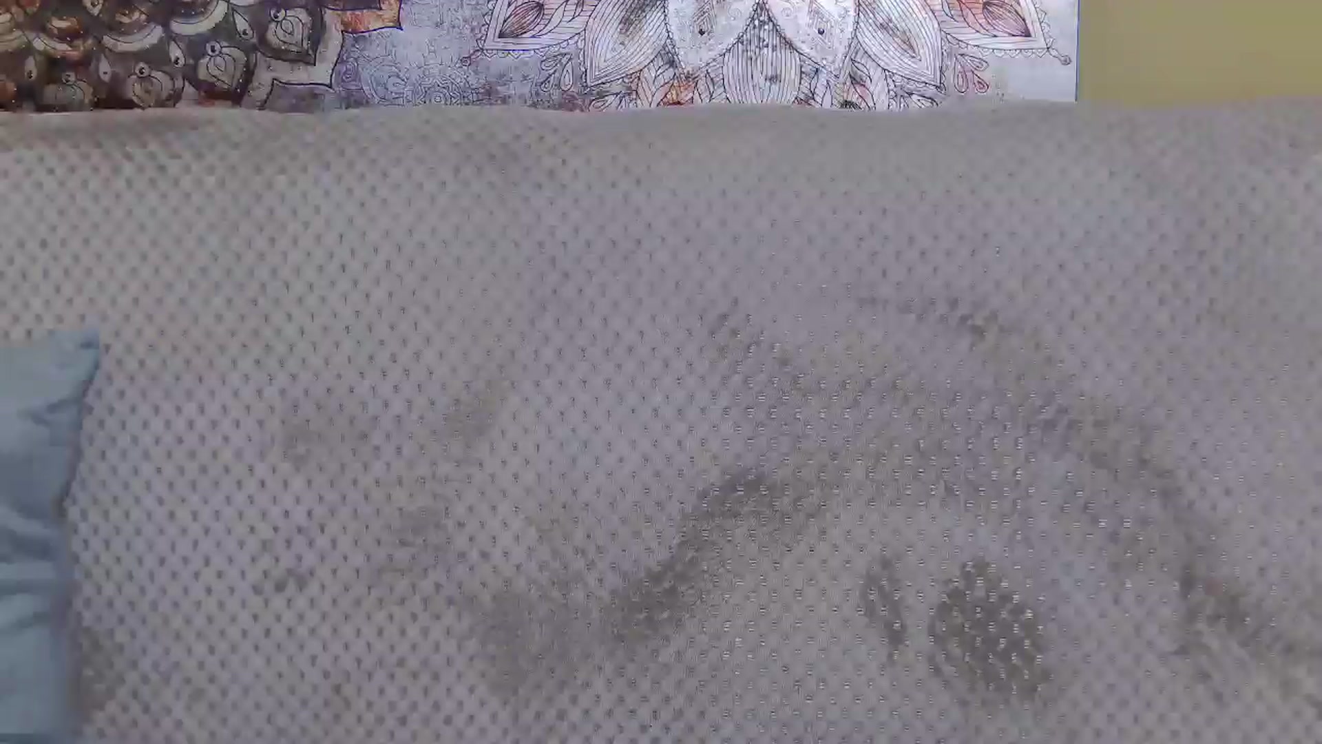 Gallery image thumbnail from ForeverChic's myfreecams stream on, 01/23/2026, 13:57 image 10 of 20