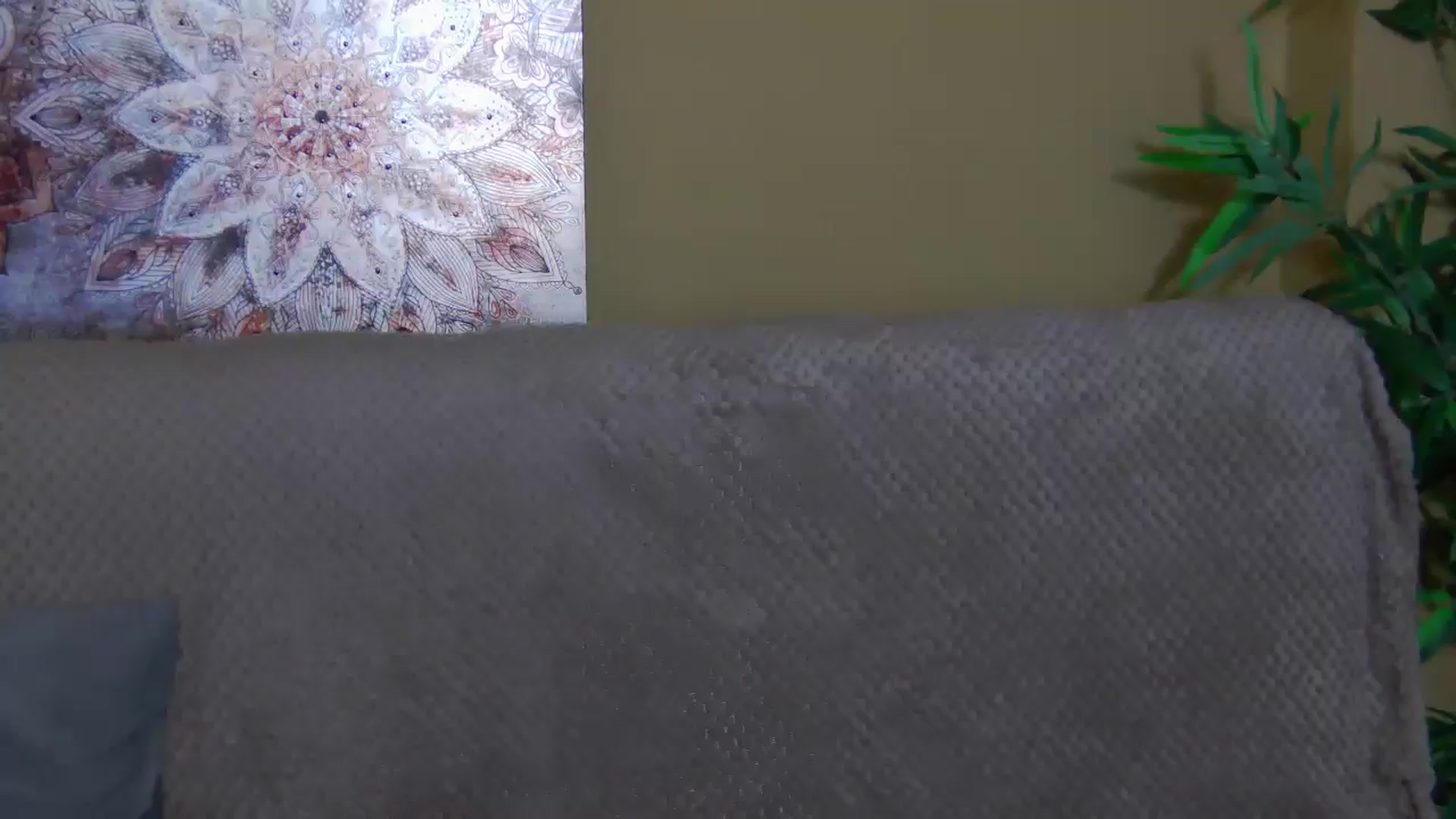 Gallery image thumbnail from ForeverChic's myfreecams stream on, 02/05/2026, 16:28 image 16 of 20