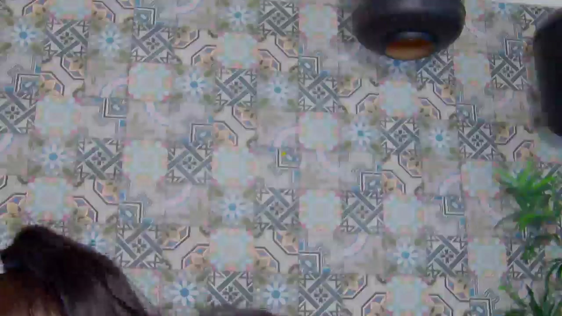 Gallery image thumbnail from ForeverChic's myfreecams stream on, 03/30/2026, 08:40 image 2 of 20