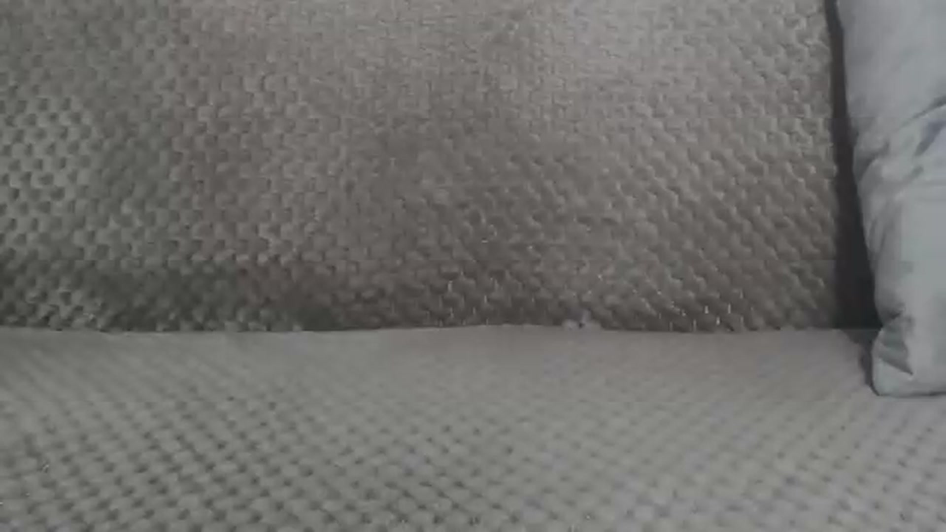 Gallery image thumbnail from ForeverChic's myfreecams stream on, 05/15/2026, 11:23 image 19 of 20
