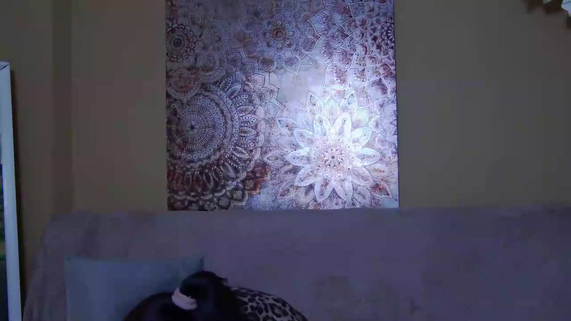 Gallery image thumbnail from ForeverChic's myfreecams stream on, 05/16/2026, 09:23 image 11 of 20