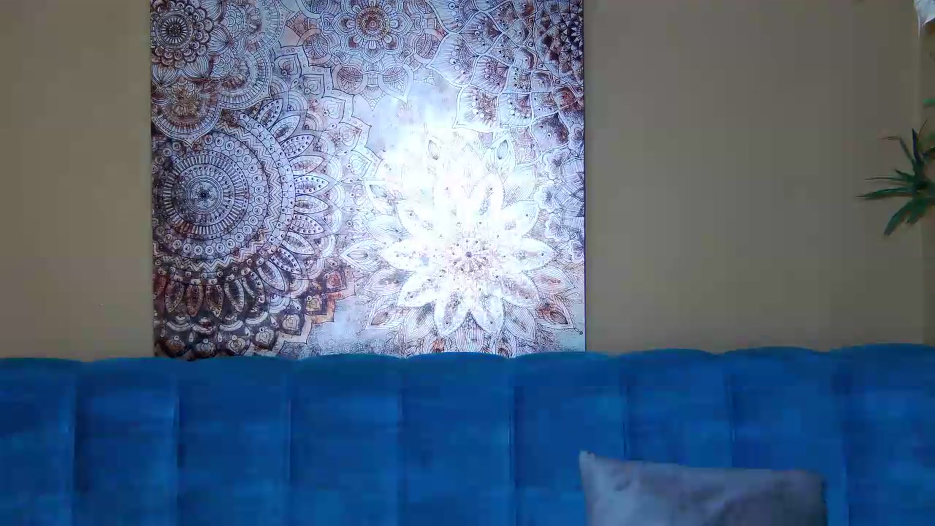 Gallery image thumbnail from ForeverChic's myfreecams stream on, 06/29/2026, 05:42 image 9 of 20