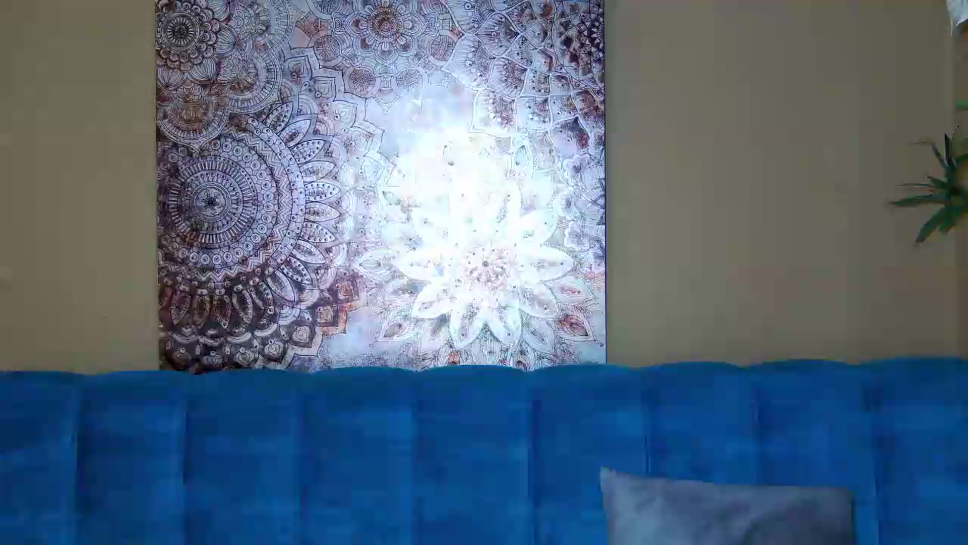 Gallery image thumbnail from ForeverChic's myfreecams stream on, 06/29/2026, 05:42 image 12 of 20