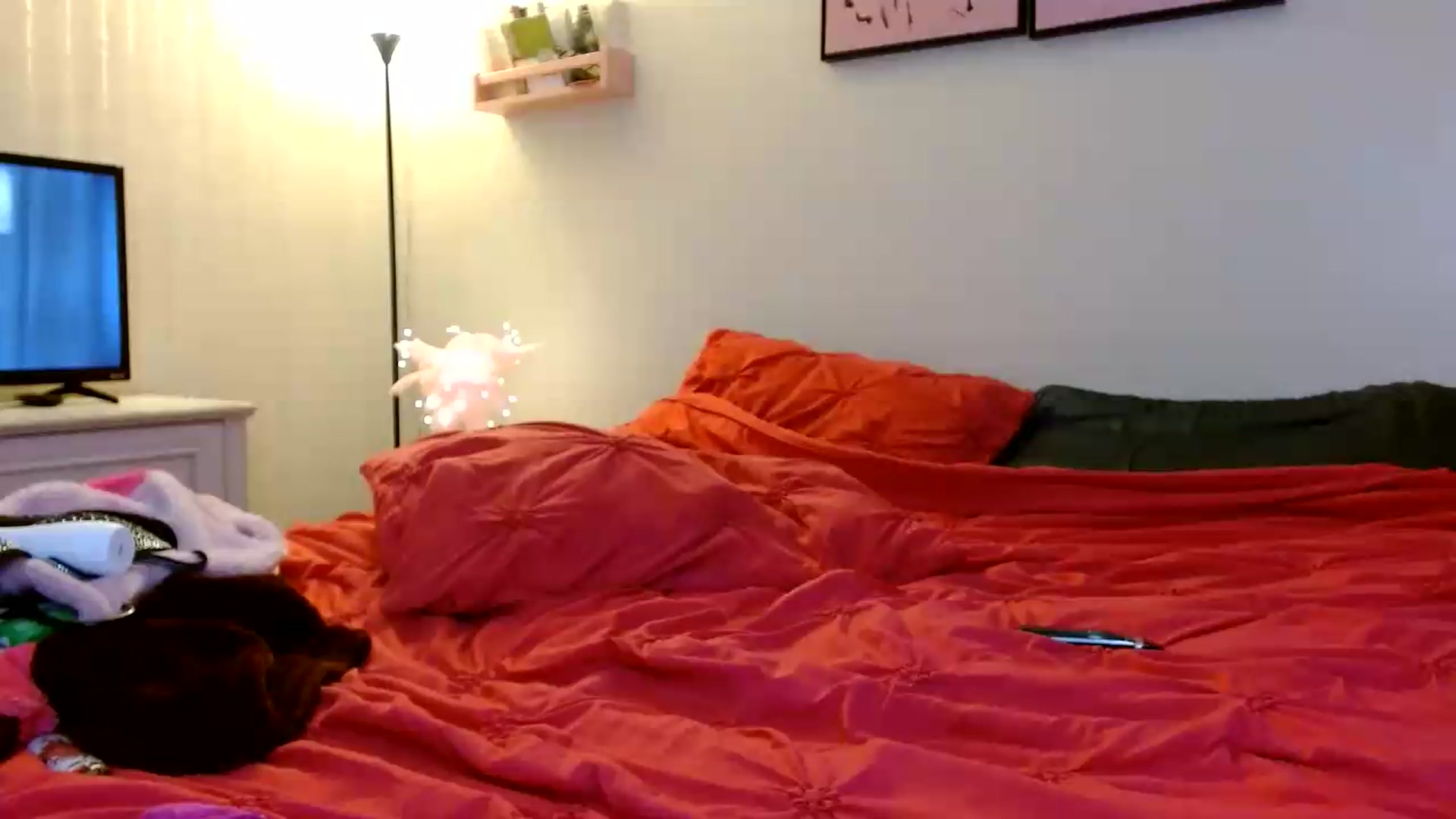 Gallery image thumbnail from ForeverLace's myfreecams stream on, 09/10/2026, 15:16 image 13 of 20