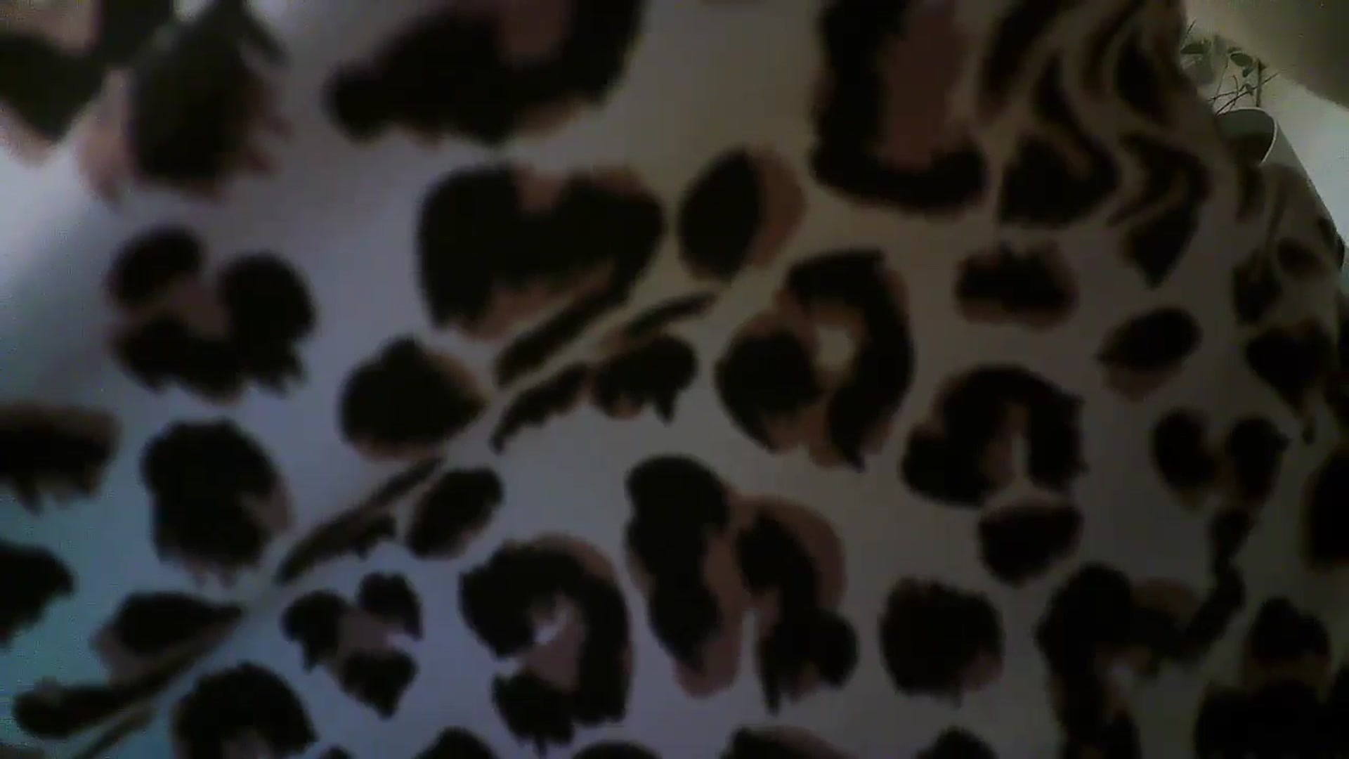 Gallery image thumbnail from Forever_Mila's myfreecams stream on, 08/01/2024, 24:44 image 17 of 20
