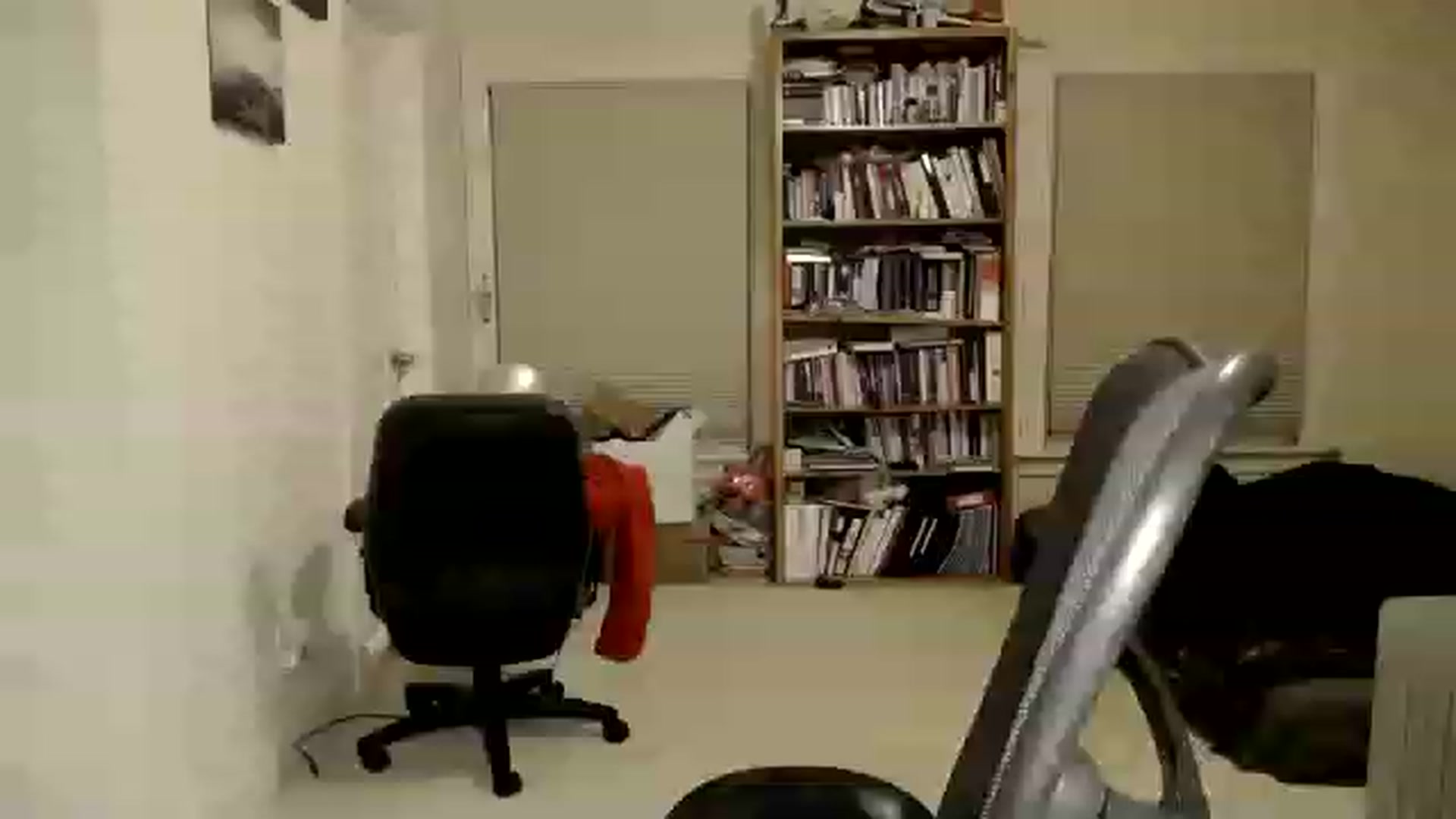 Gallery image thumbnail from FoxyDame's myfreecams stream on, 12/03/2022, 07:42 image 15 of 20