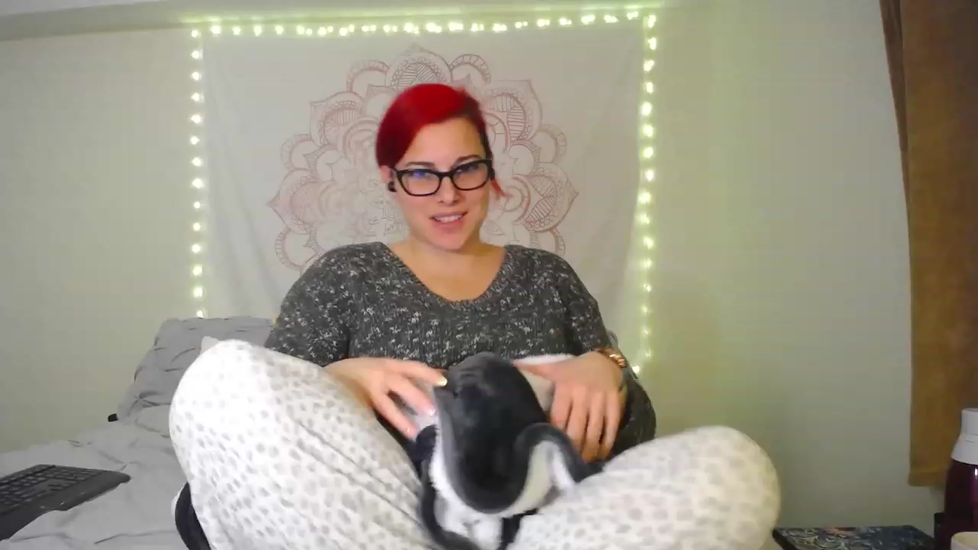 Gallery image thumbnail from FoxyDame's myfreecams stream on, 01/09/2023, 04:51 image 18 of 20
