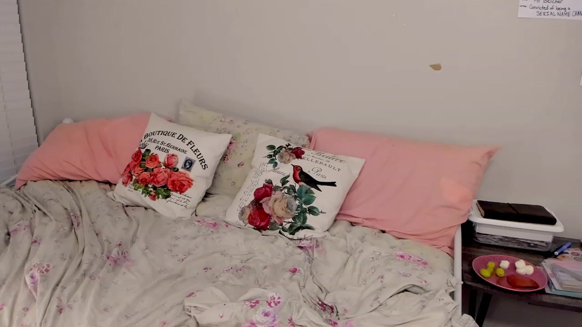 Gallery image thumbnail from FoxyDame's myfreecams stream on, 01/18/2023, 06:13 image 9 of 20